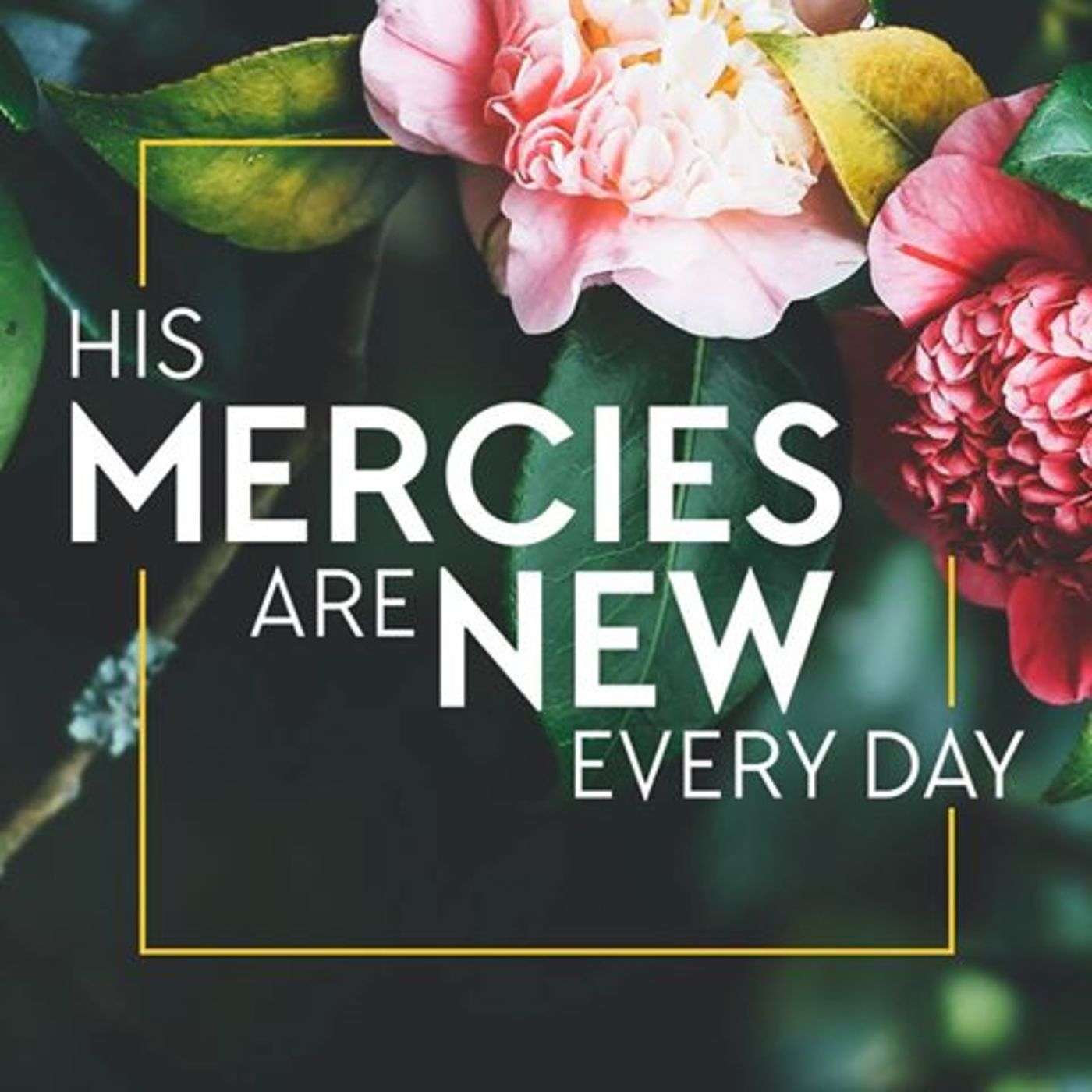 Mercy Forgives
