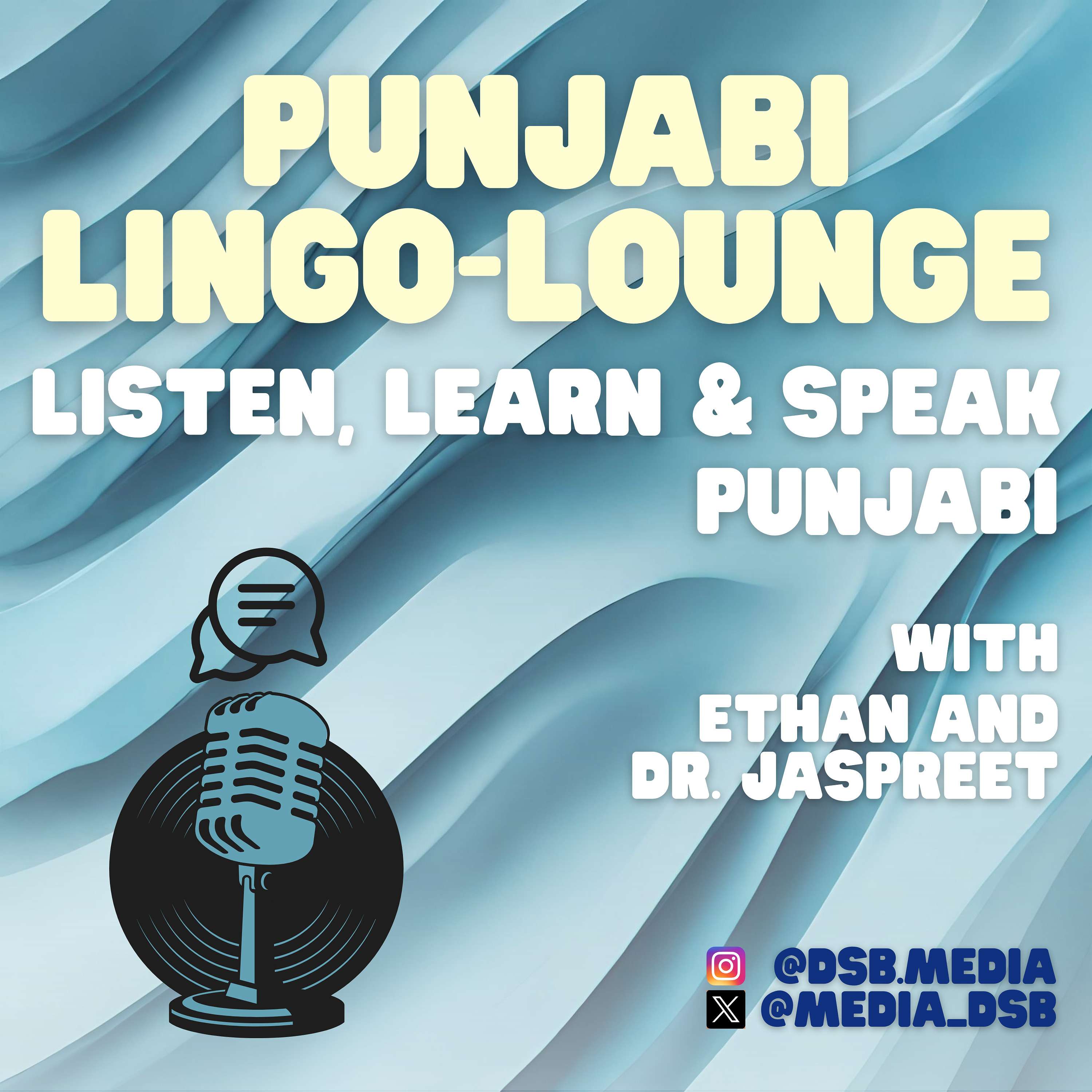 The Punjabi Lingo-Lounge podcast artwork