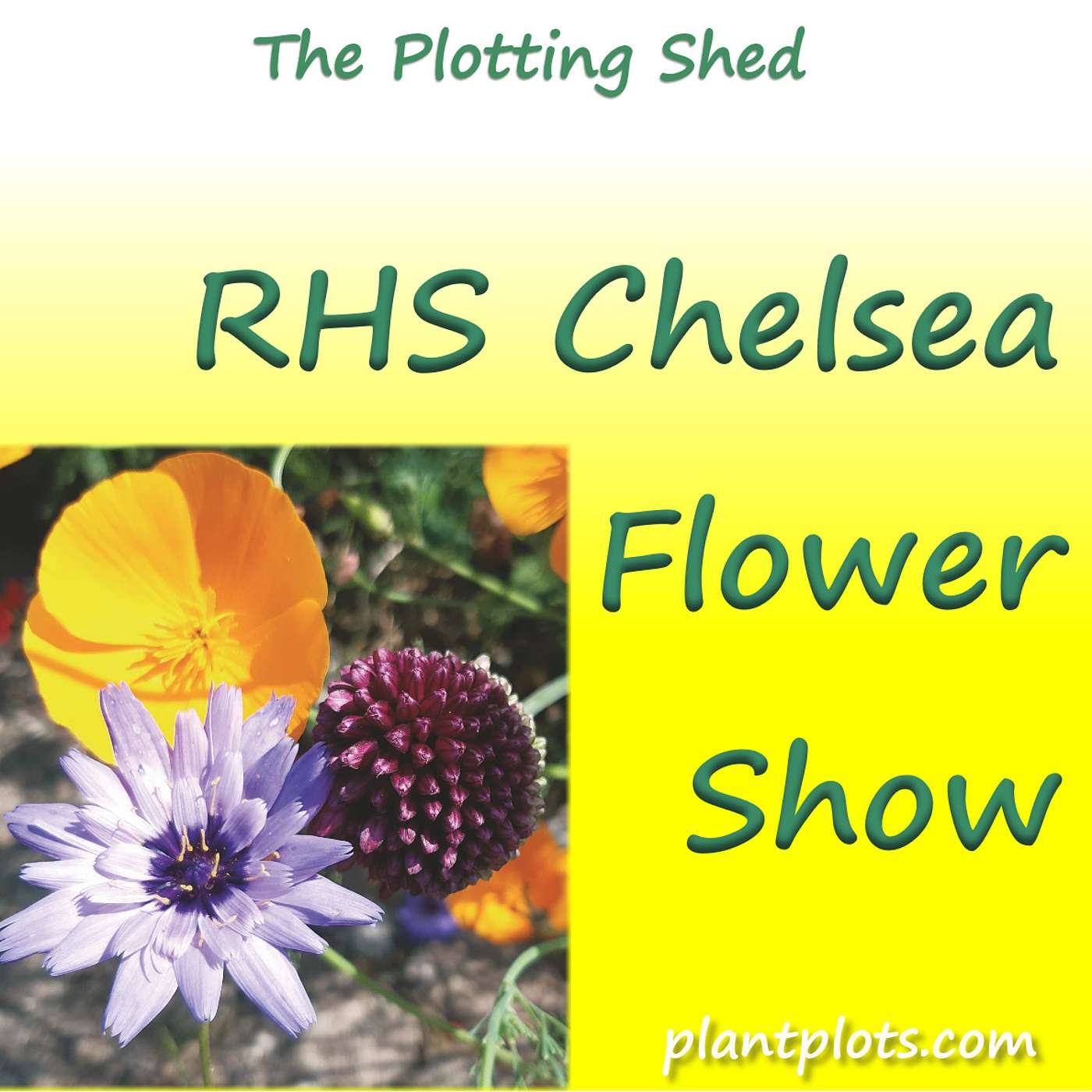 And the best garden at the RHS Chelsea Flower show was actually....!