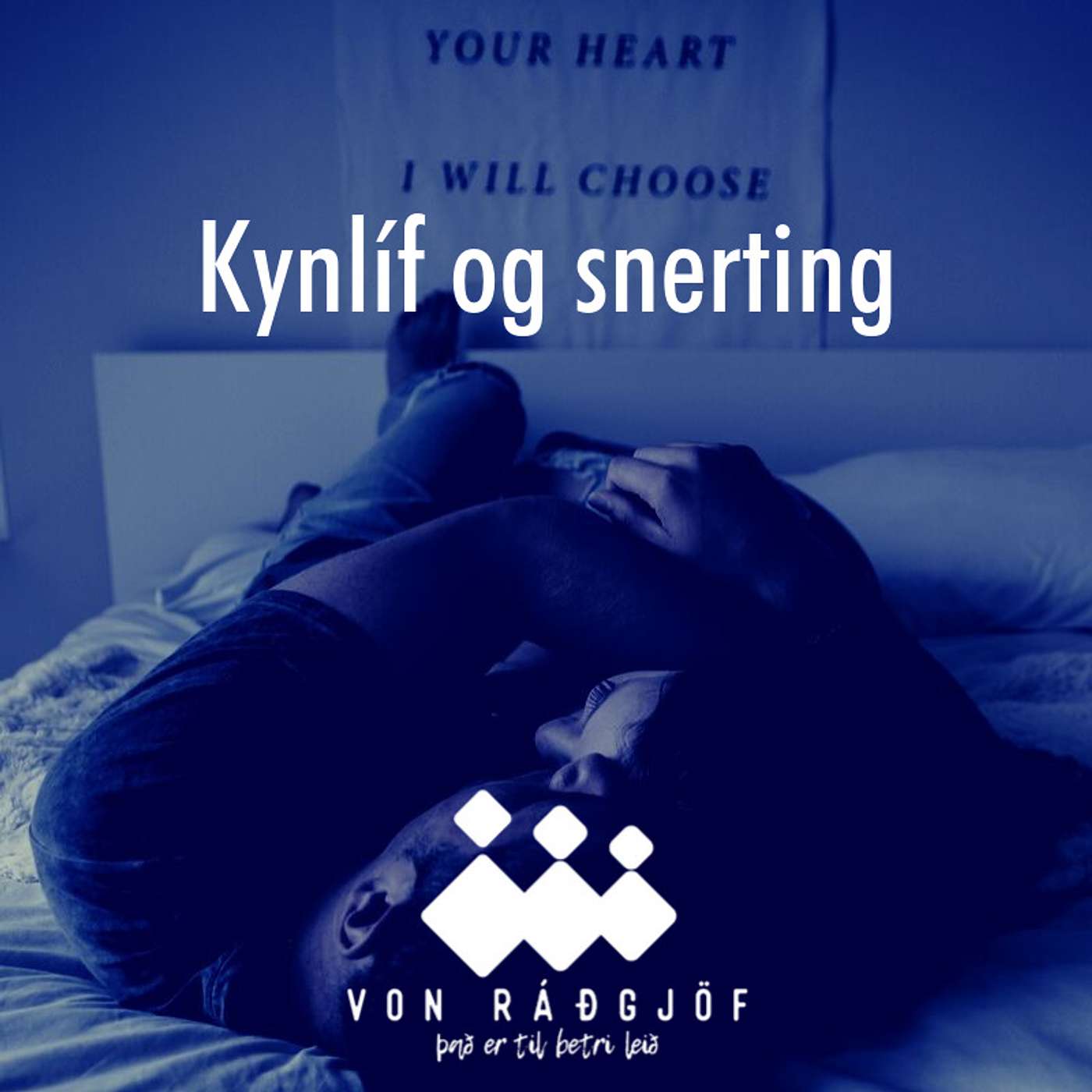 Von Ráðgjöf - Lausnin Hlaðvarp