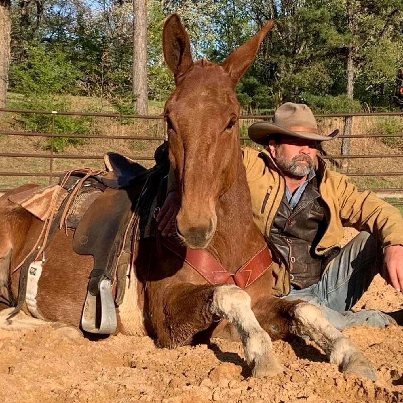 MULE TALK! THE PODCAST ABOUT MULES, MULE TRAINING, AND THE MULE INDUSTRY.