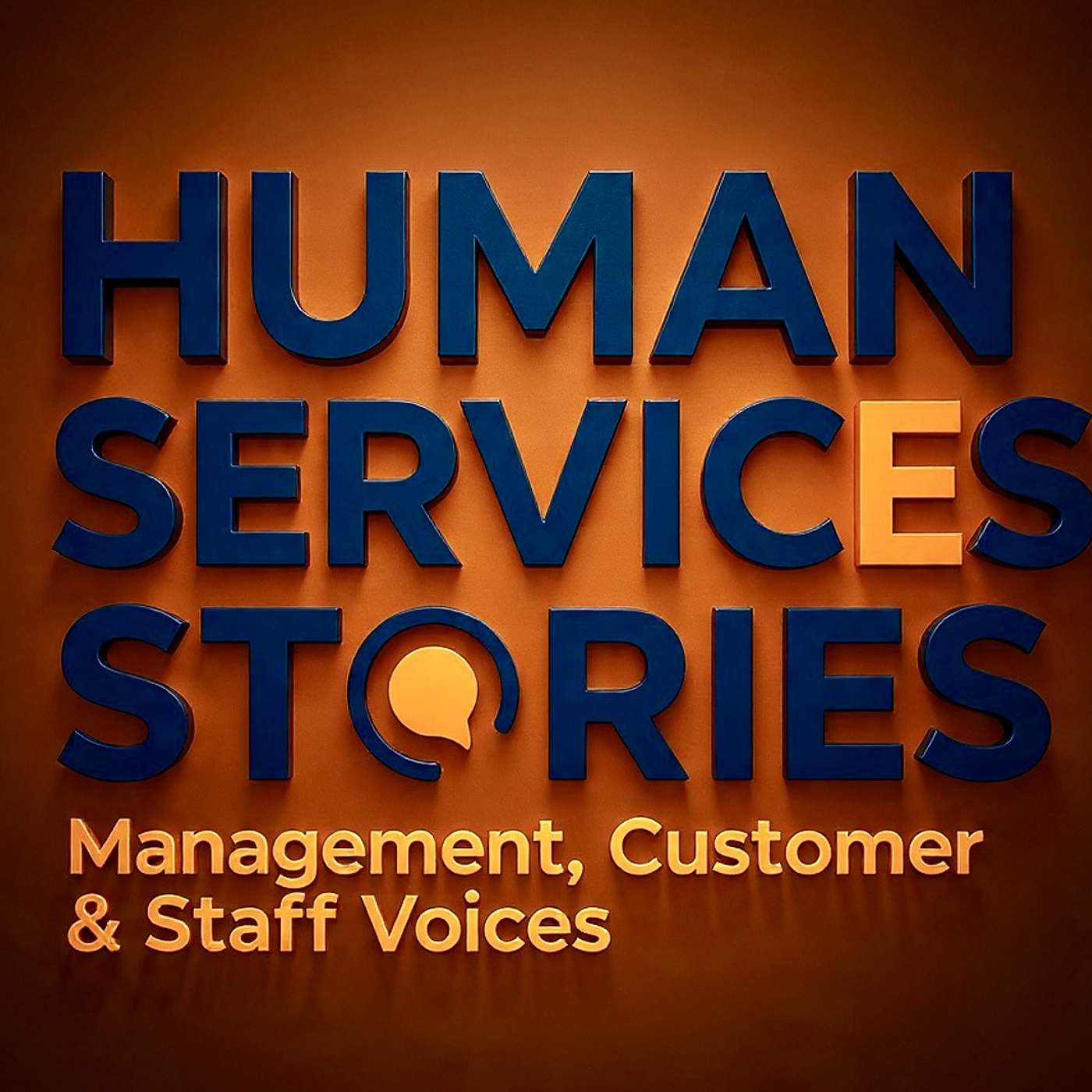Human Services Stories: Management, Customer & Staff Voices