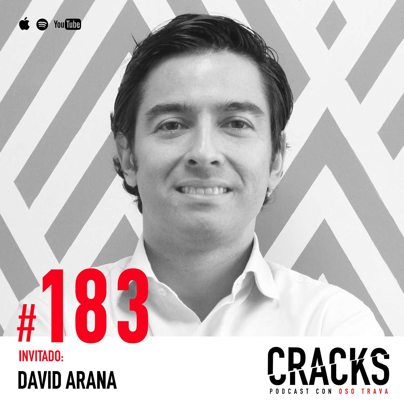 #183. David Arana - Aprende de tus Fracasos y Confía en tu Locura