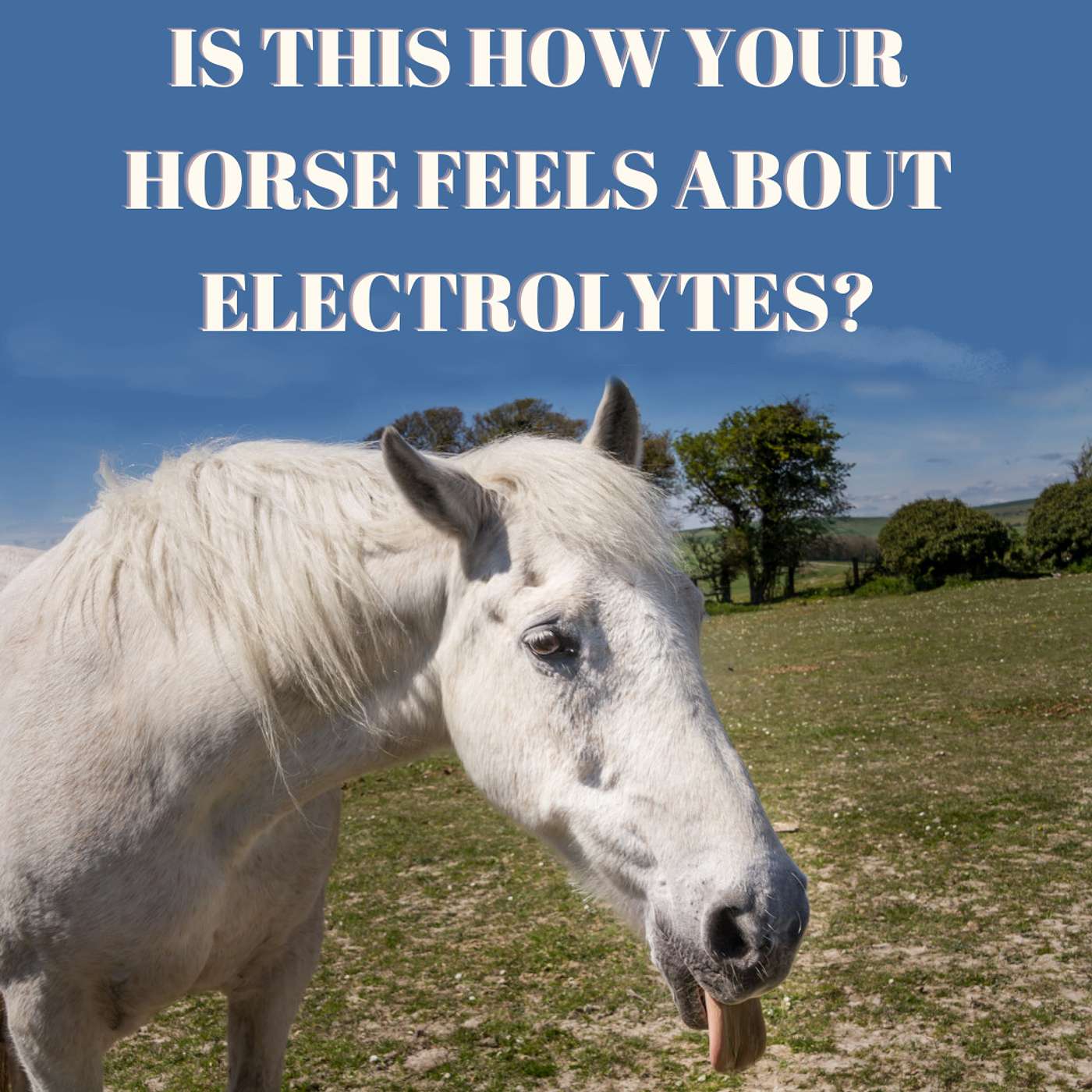 Holistic Horseworks Talks with April Love