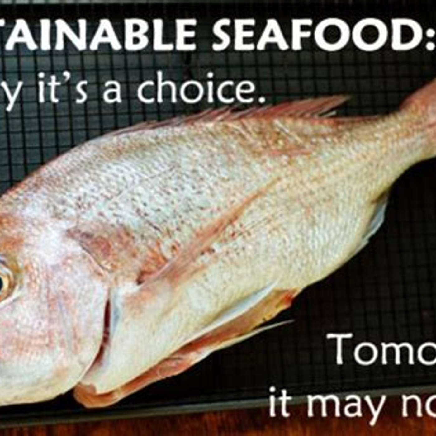 Sustainable sea foods episode artwork