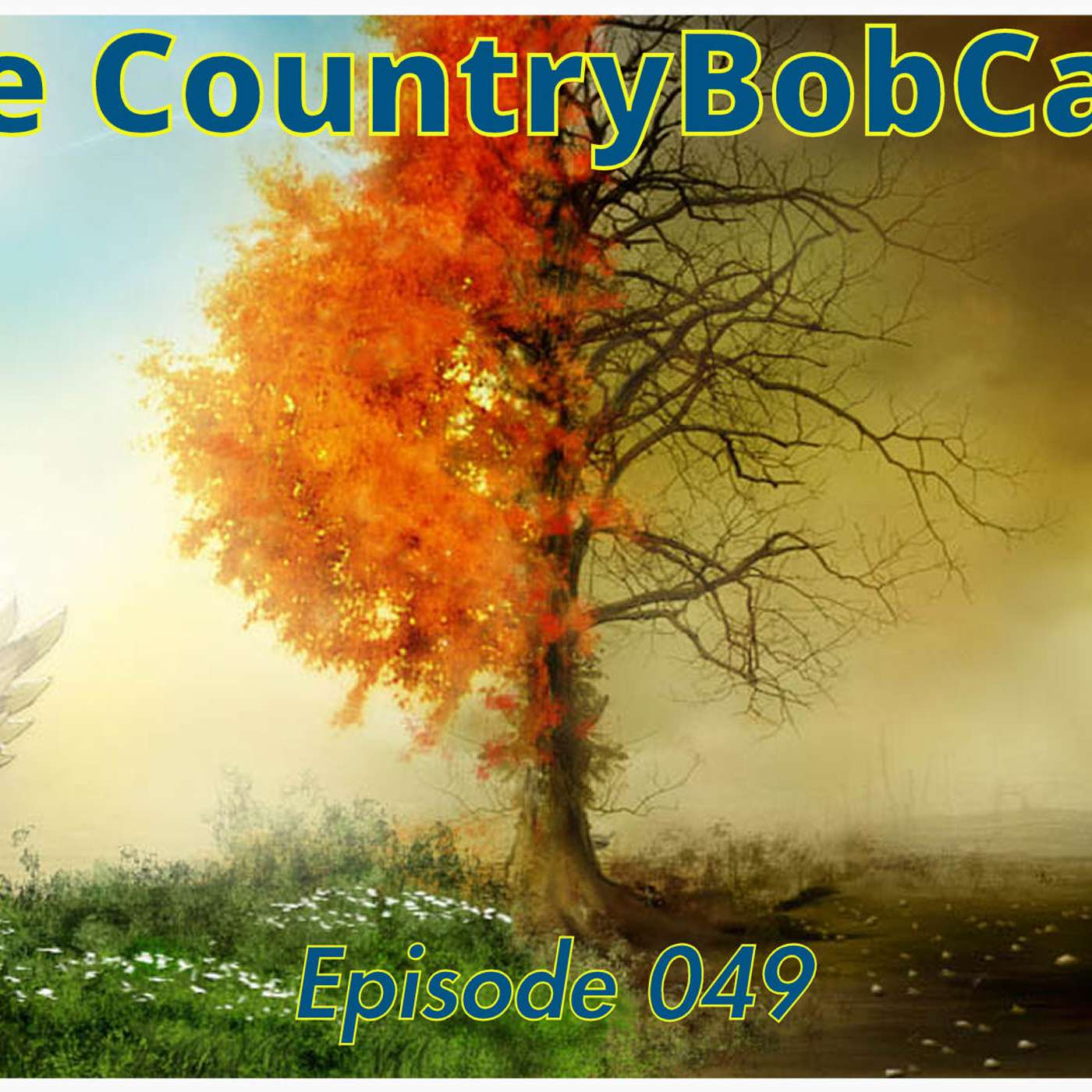 The CountryBobCast