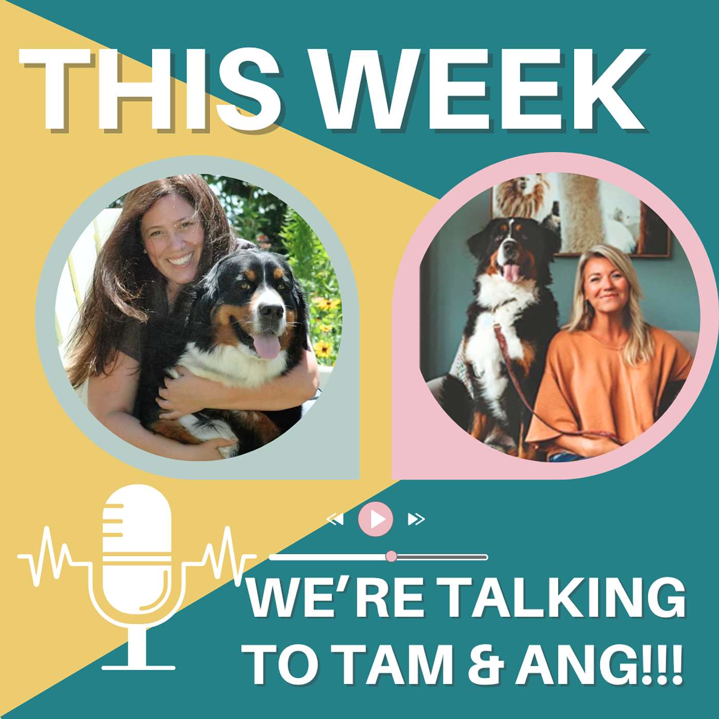 Halfway To Dead,  A Midlife Spiritual Journey