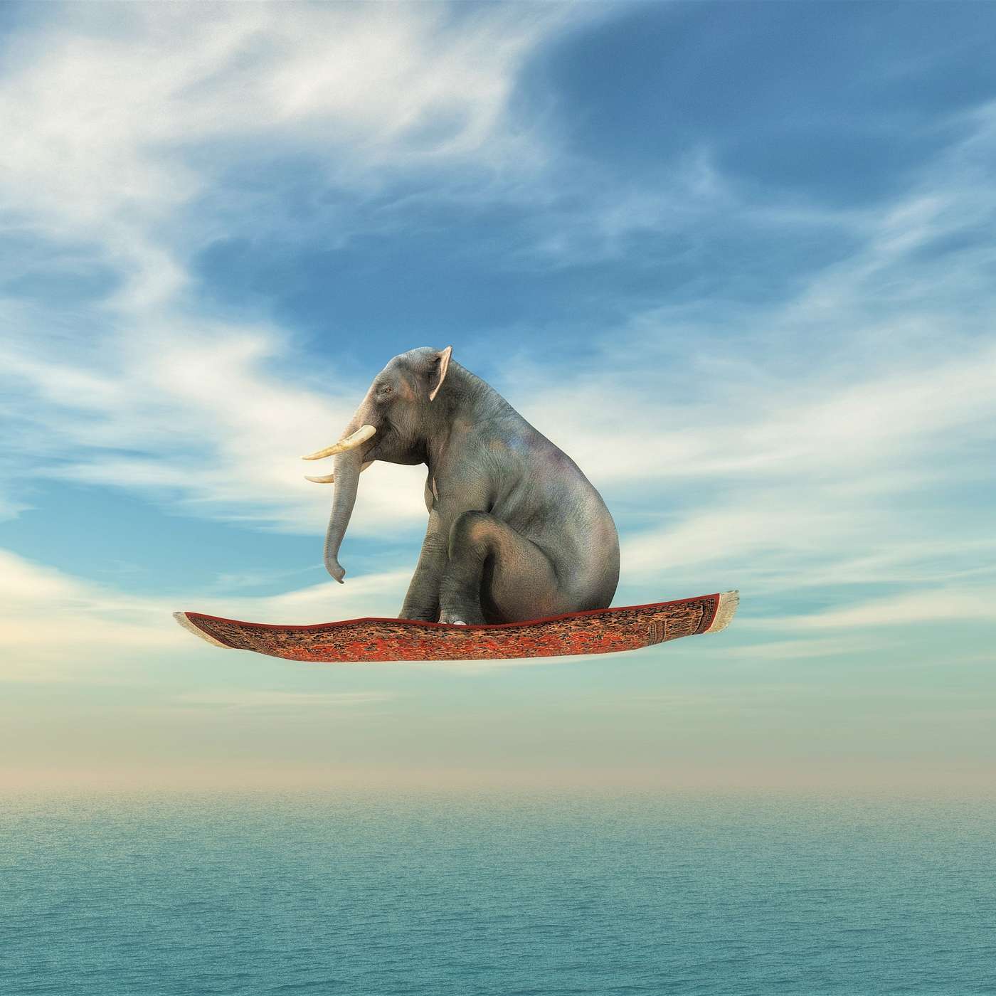 Flying Carpet & Wishing With The Magic Elephant