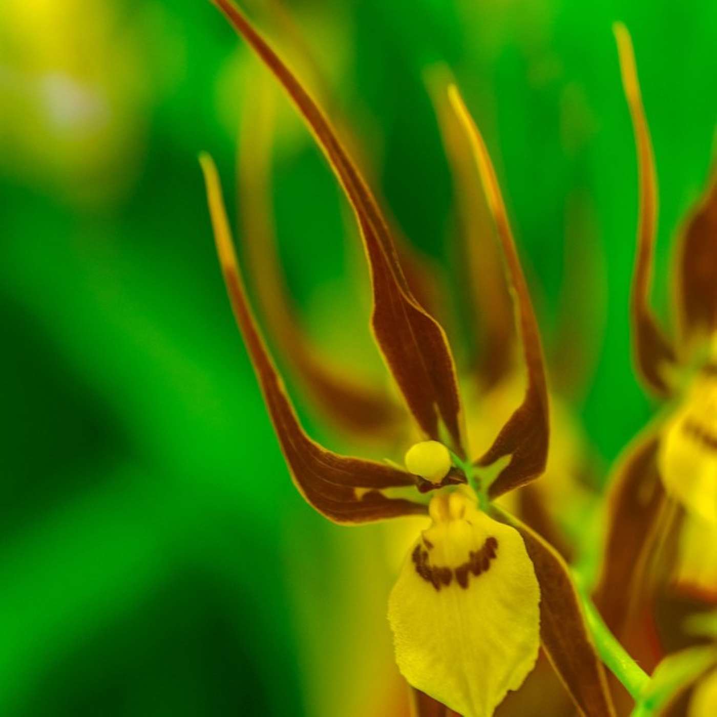 The Infinite Life: Consciousness Raising, Spiritual Transformation