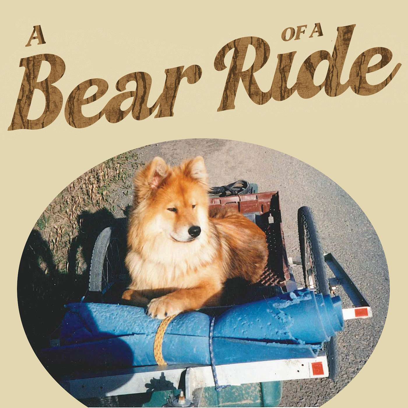 ABT038. A Bear of a Ride: From the Canadian Wilderness to the Tour and Back
