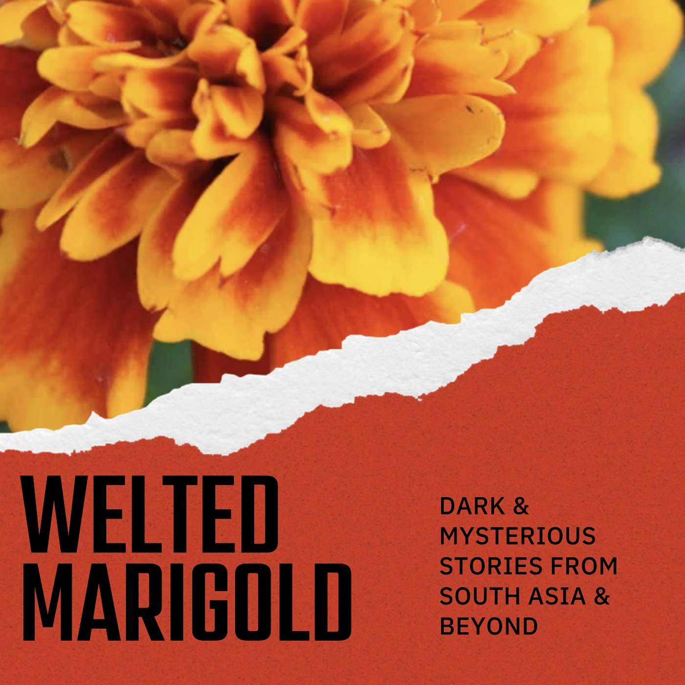 Welted Marigold : Dark and Mysterious Stories from South Asia and Beyond - True Crime