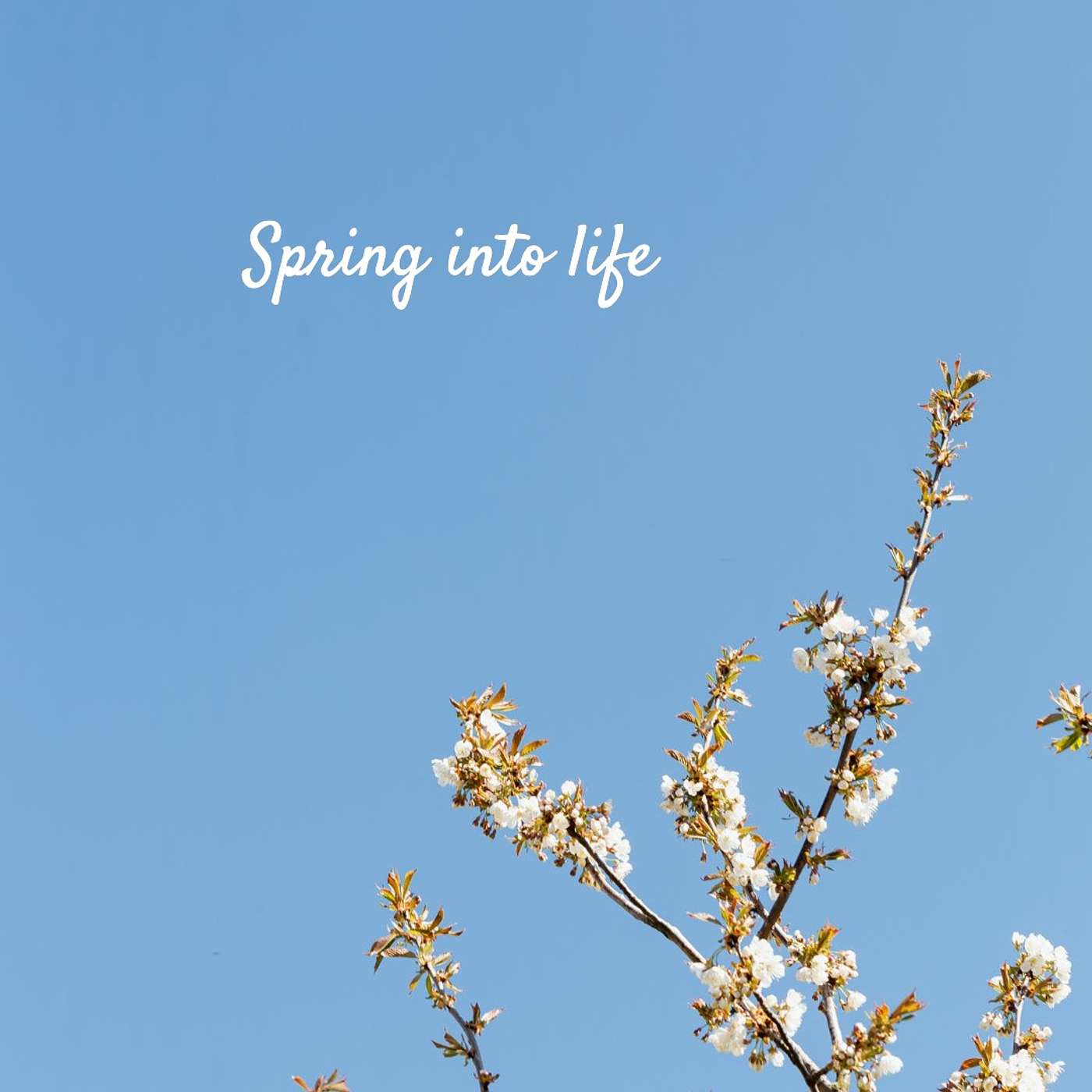 #197 Spring into life episode artwork