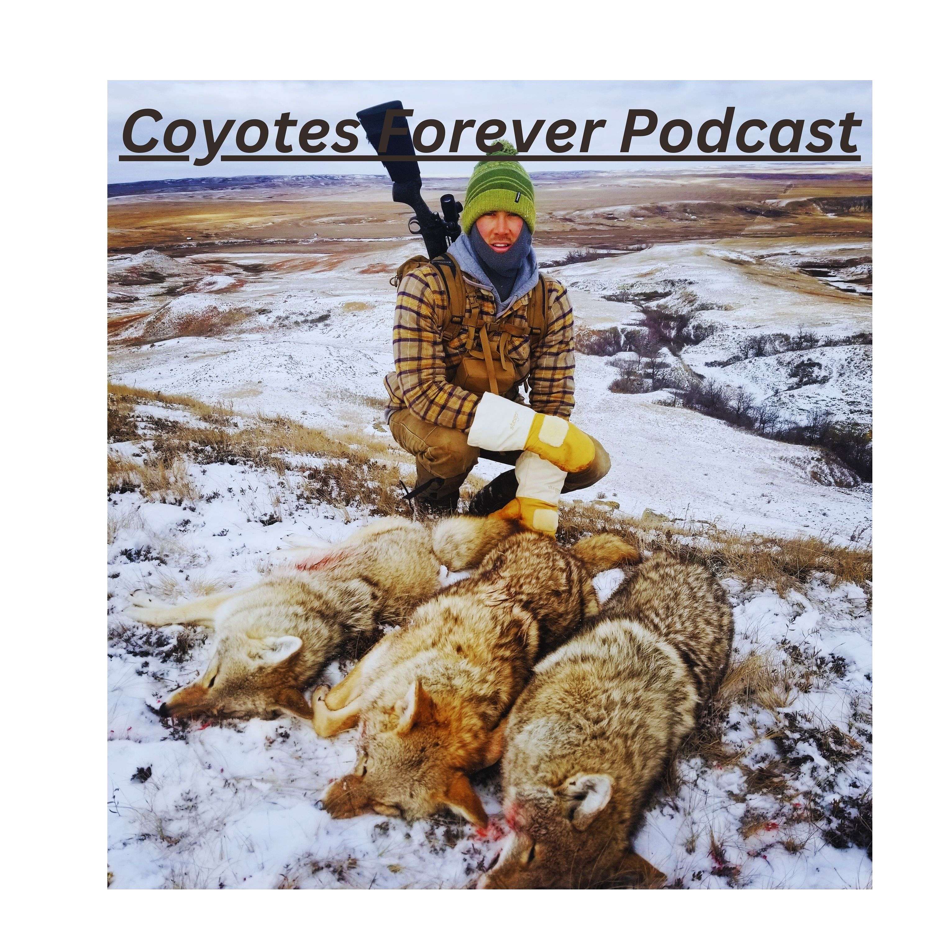 Coyotes Forever Podcast podcast artwork