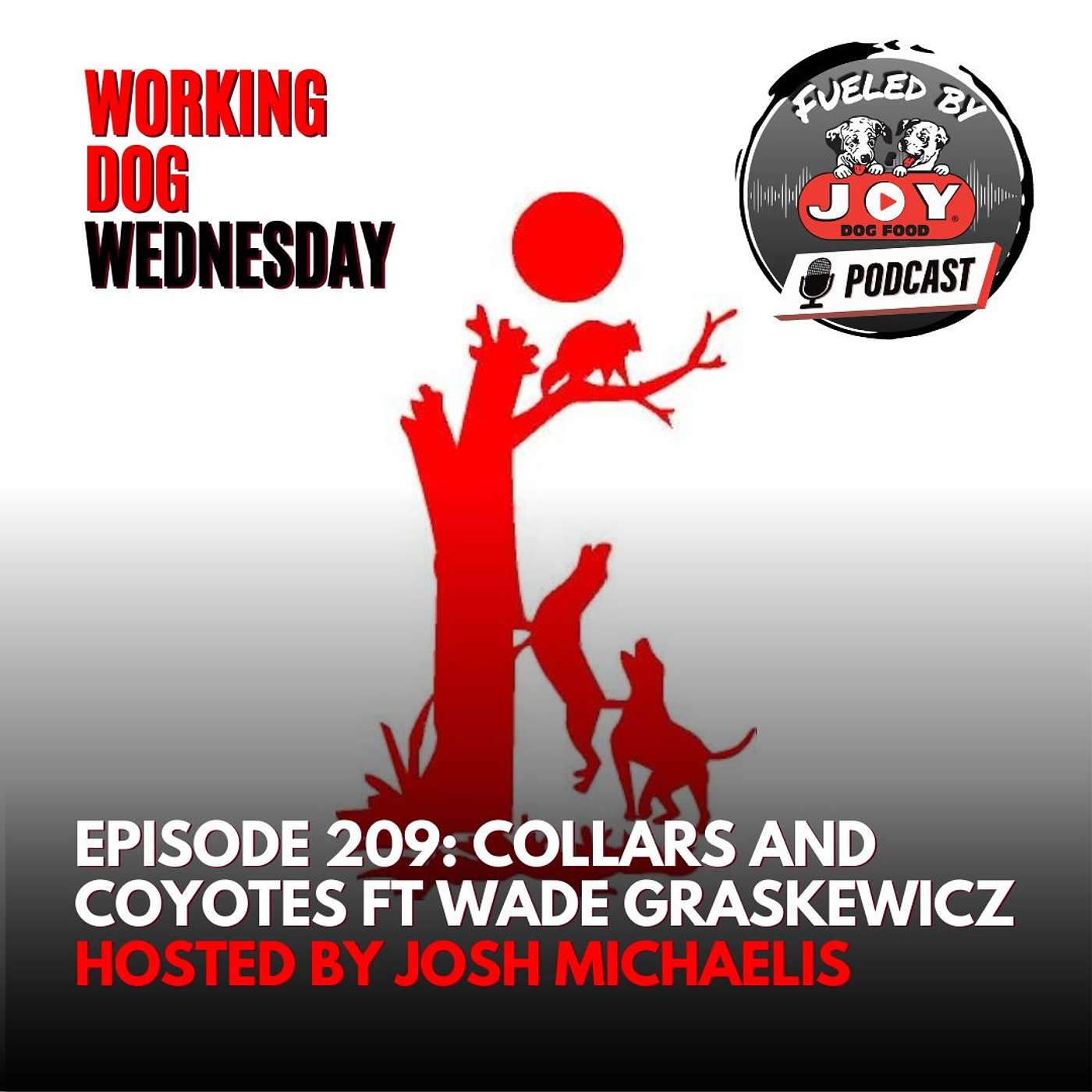 Episode 209: Collars and Coyotes episode artwork