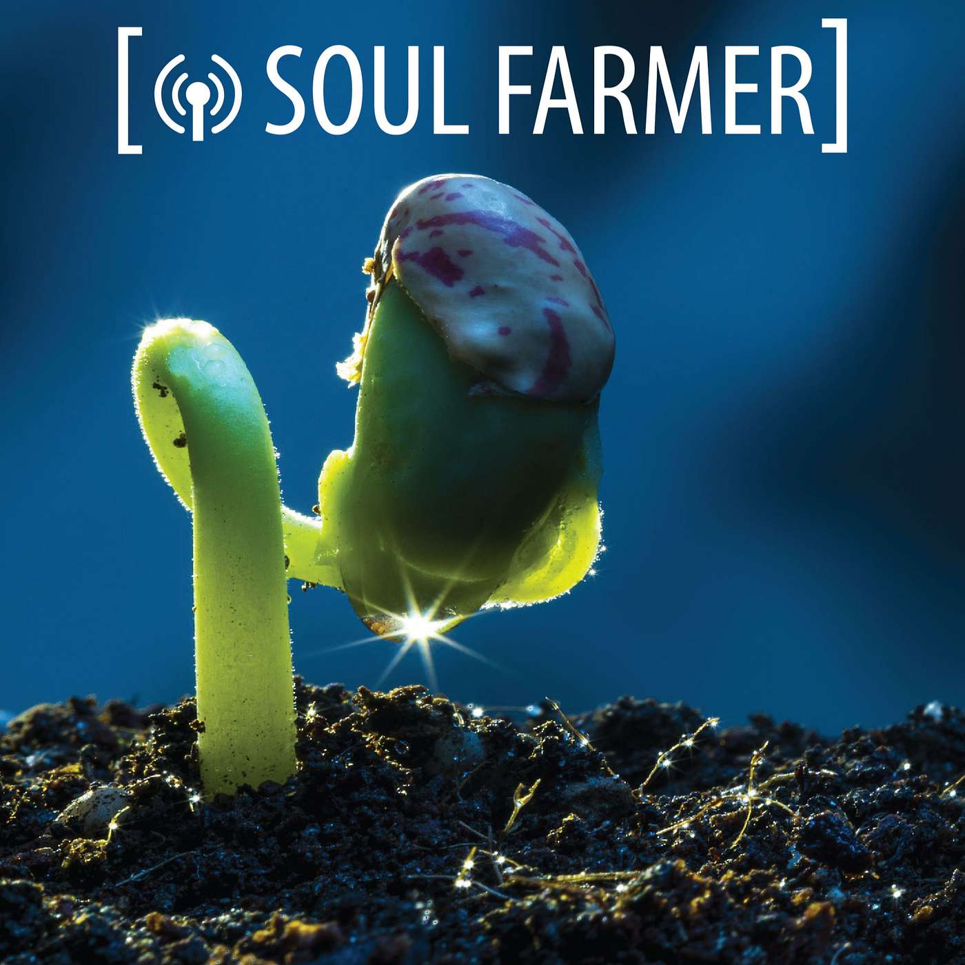 What is SOUL FARMER?