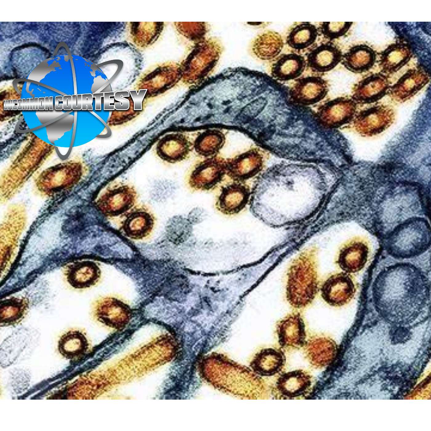 First severe human case of bird flu in US shows 'concerning' mutation, CDC says episode artwork