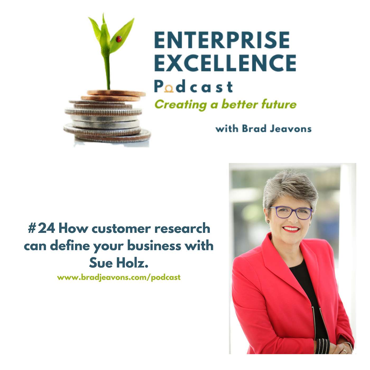 #24 How customer research can define your business with Sue Holz episode artwork