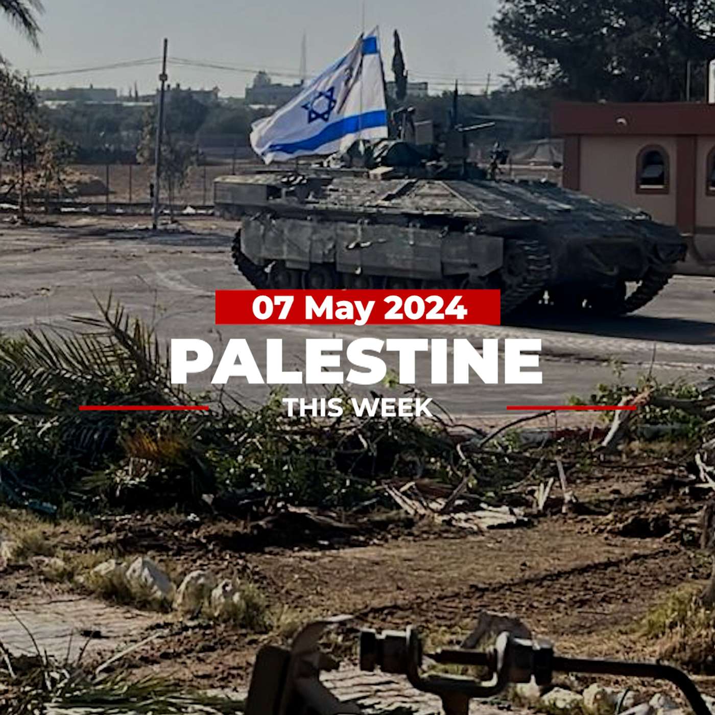Palestine This Week