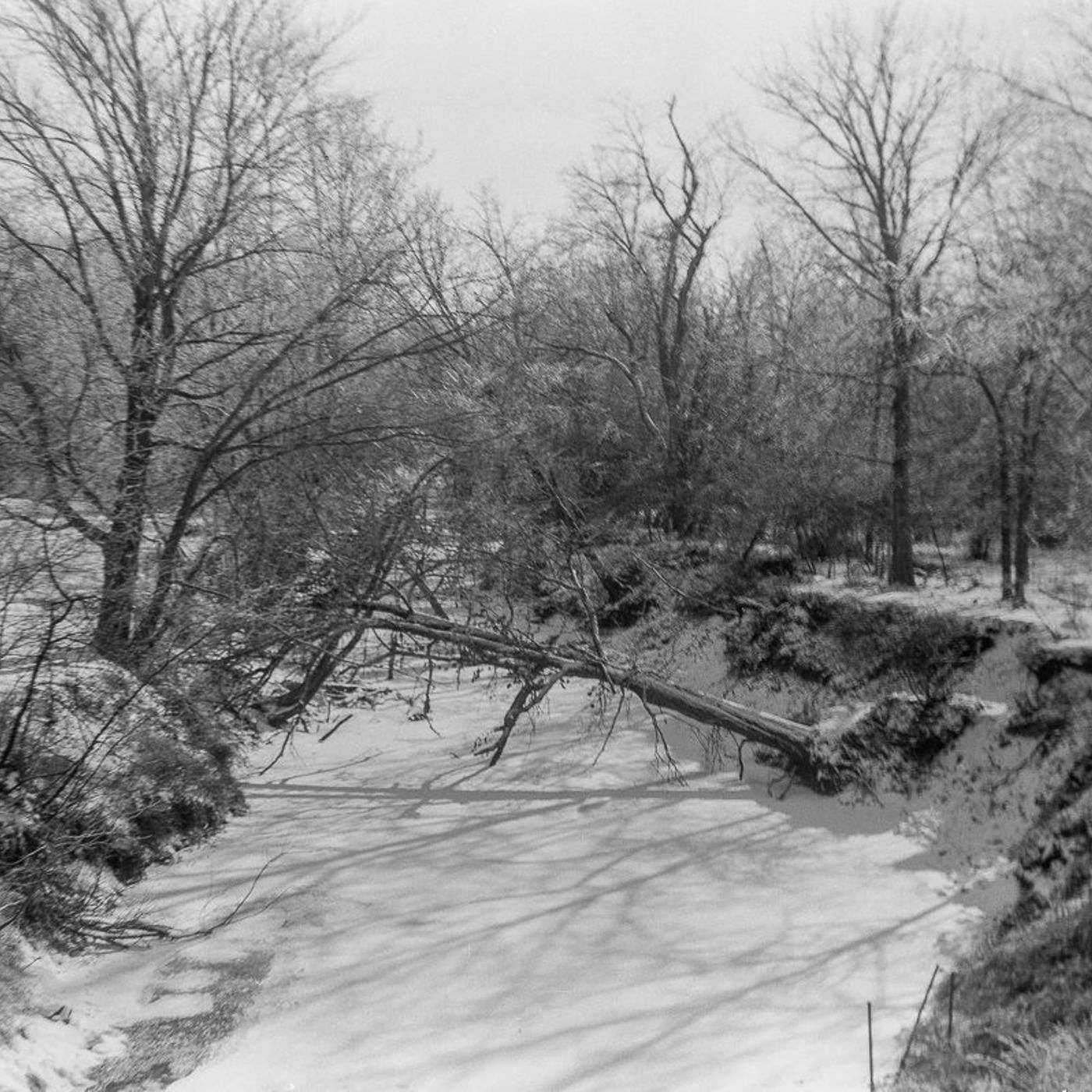 Episode 49: PrepperMed 101 - Dealing With Hypothermia