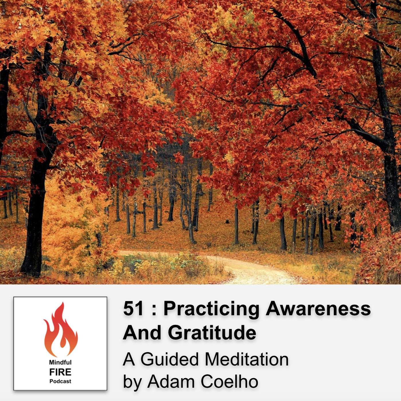 51 : Meditation : Practicing Awareness & Gratitude - podcast episode cover