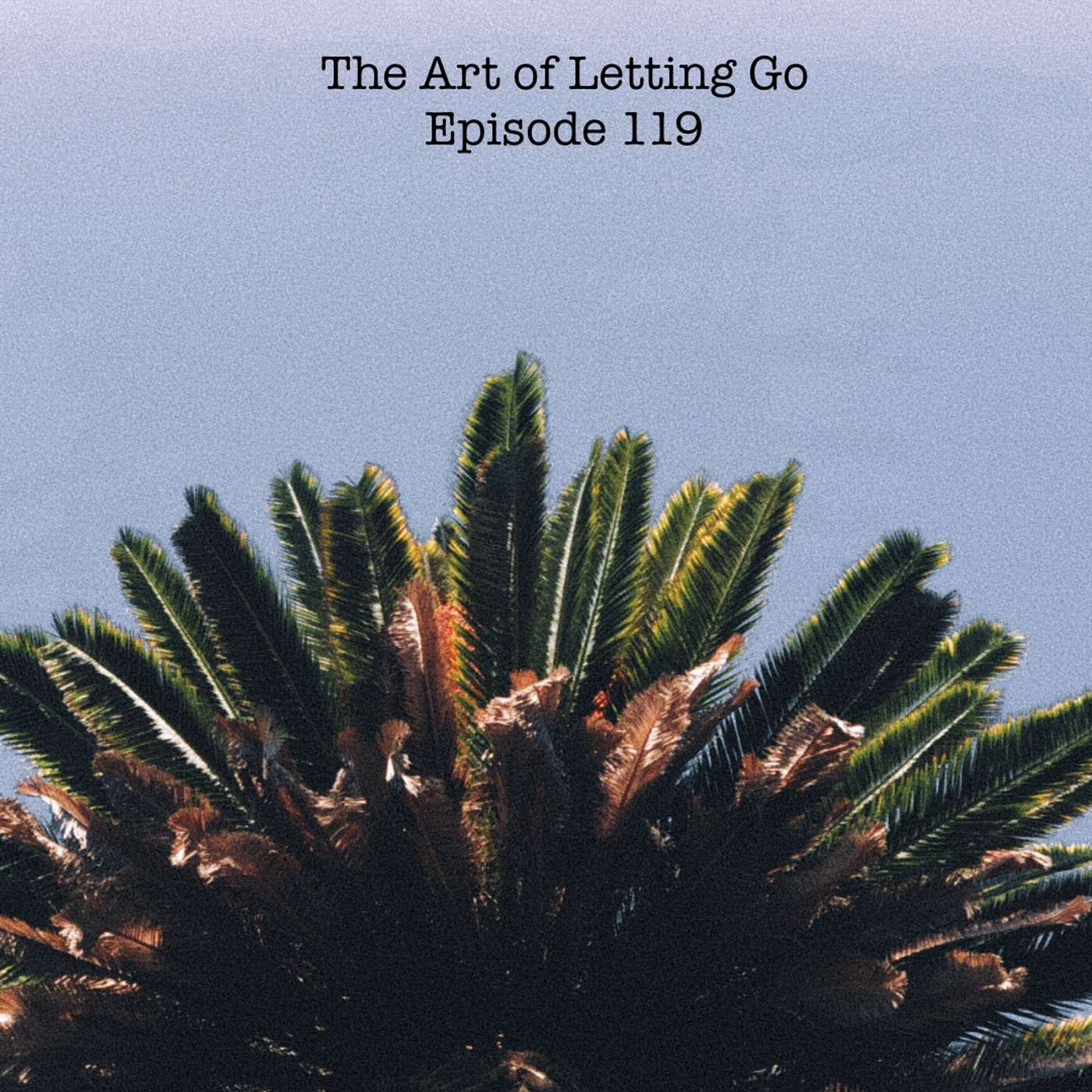 The Art of Letting Go EP 119 (Goals, Gifts, and Passion with James 