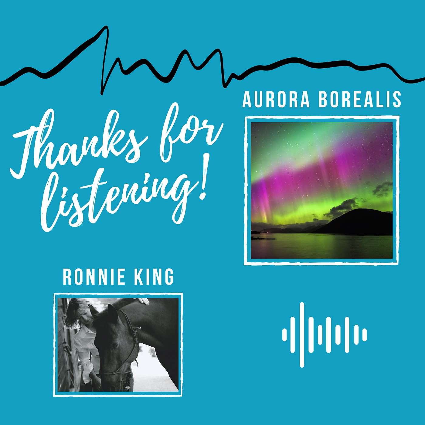 Equine Voices Podcast