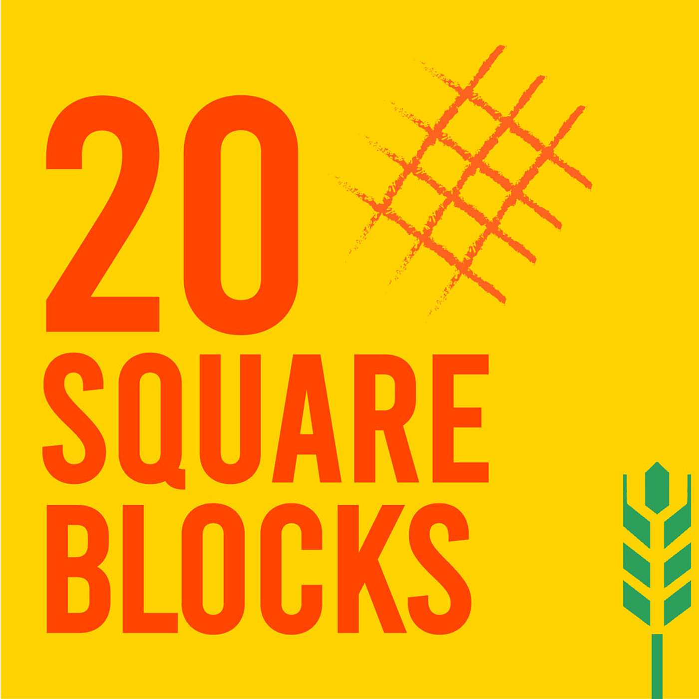 20 Square Blocks