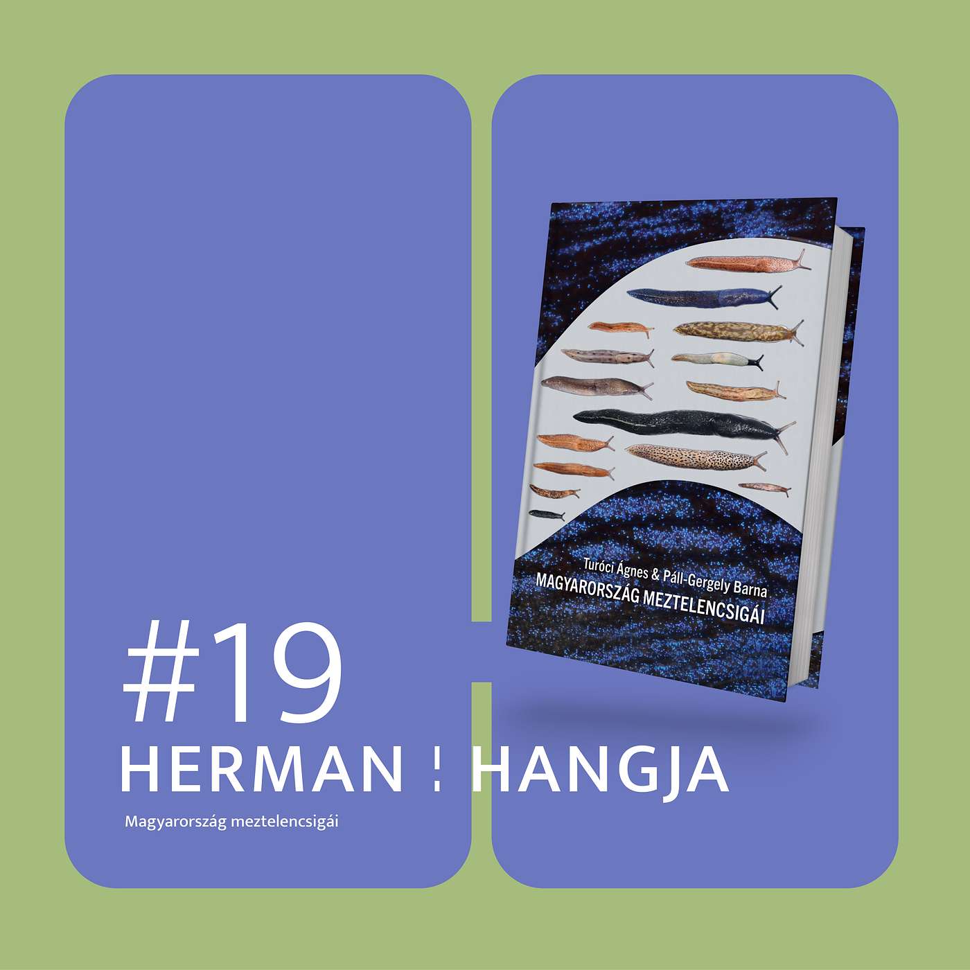 Herman hangja