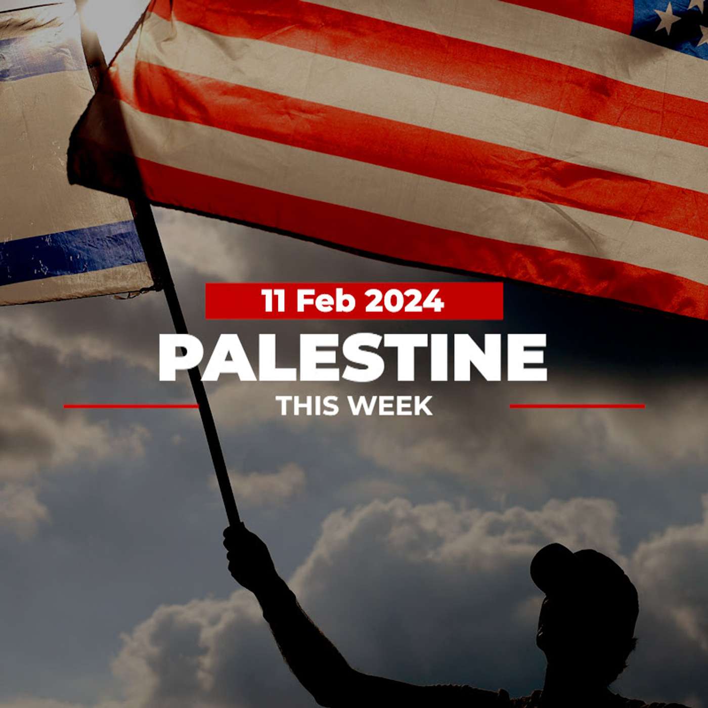 Palestine This Week