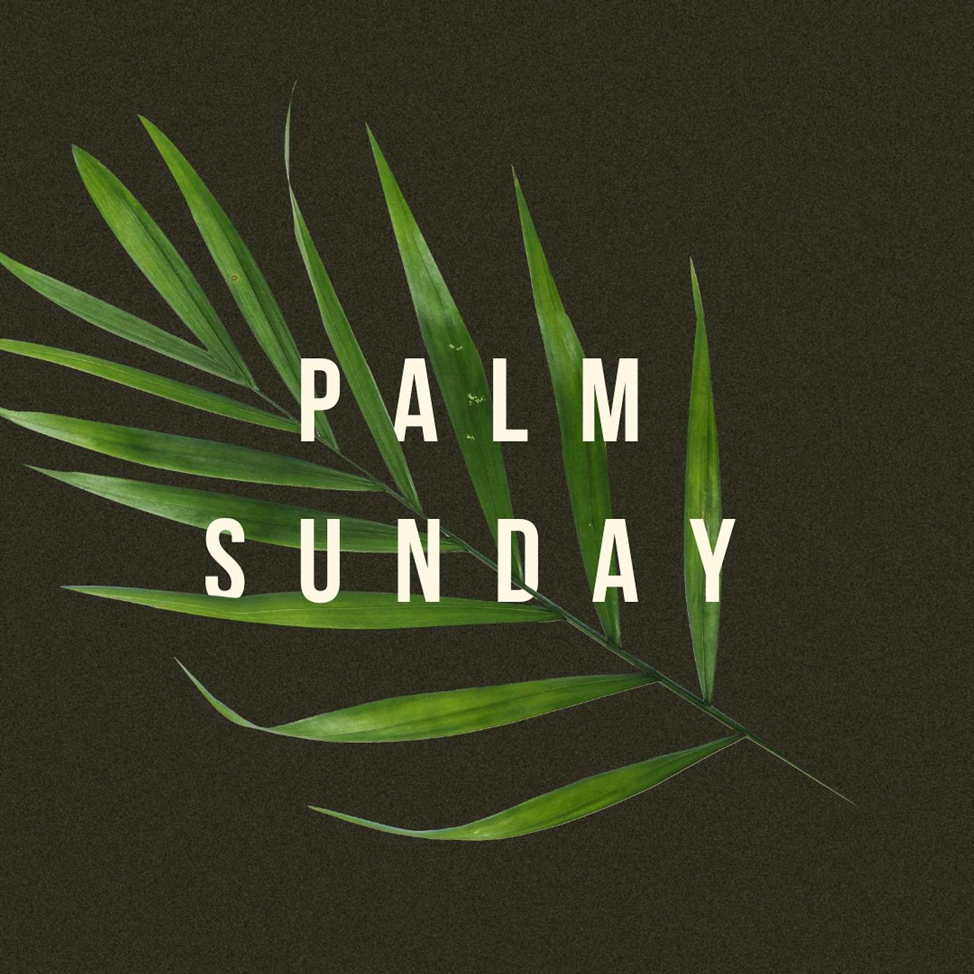 Santa Cruz Bible Church Podcast