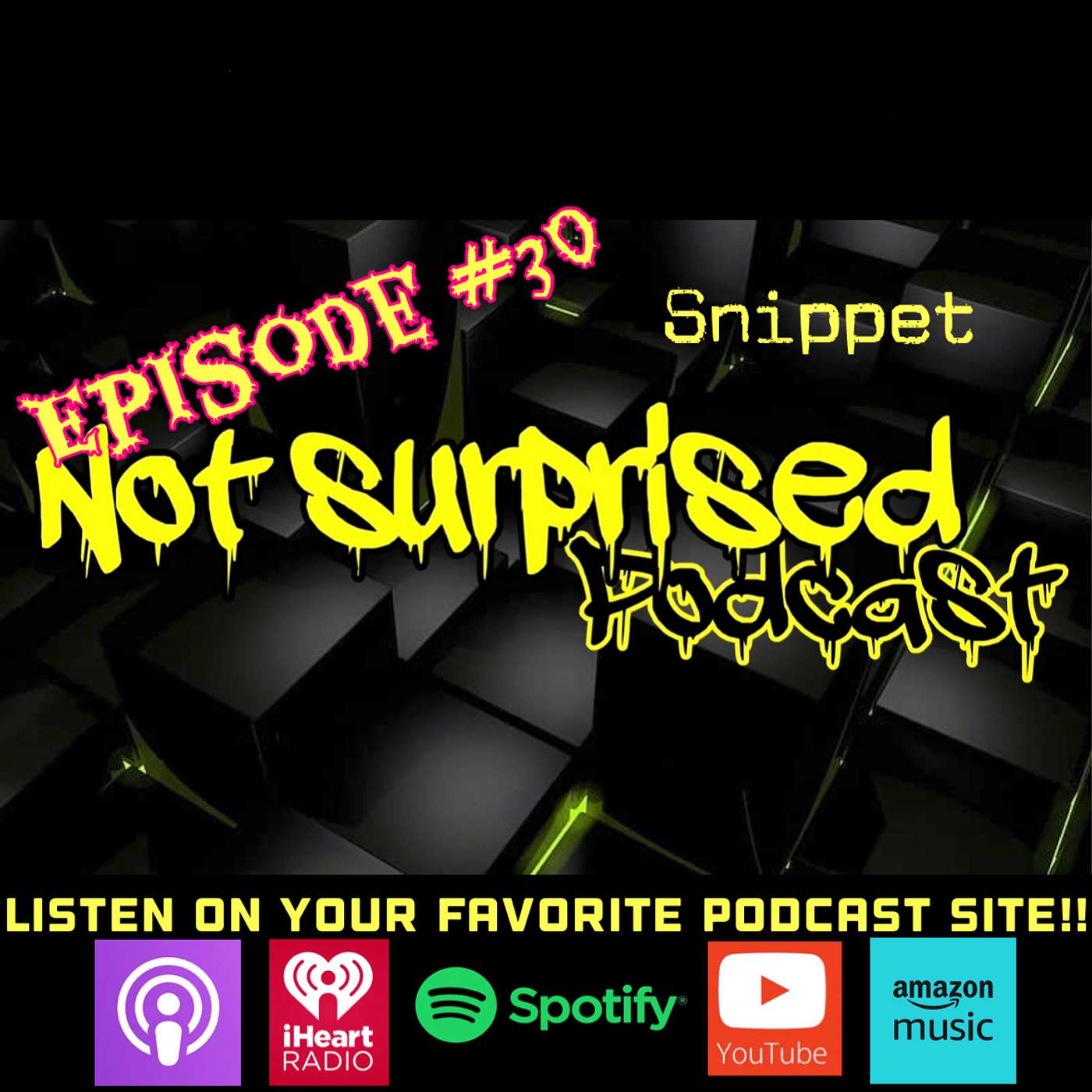 Not Surprised Podcast