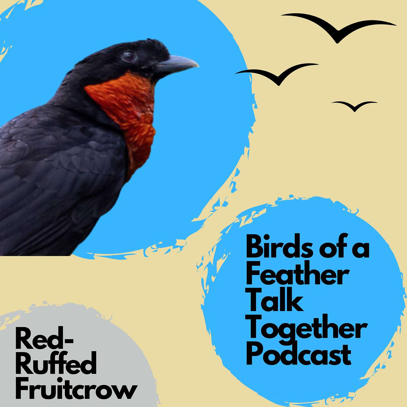 Birds of a Feather Talk Together