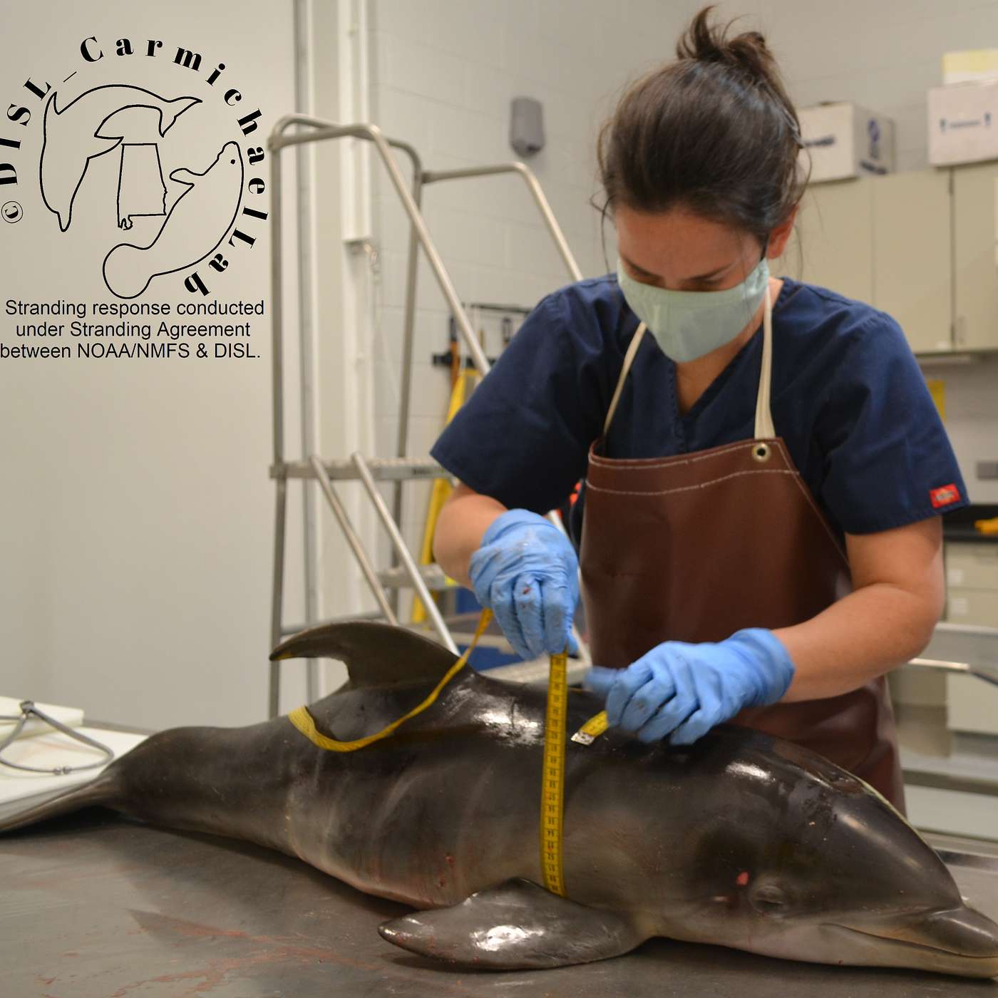 Wildlife Health Talks