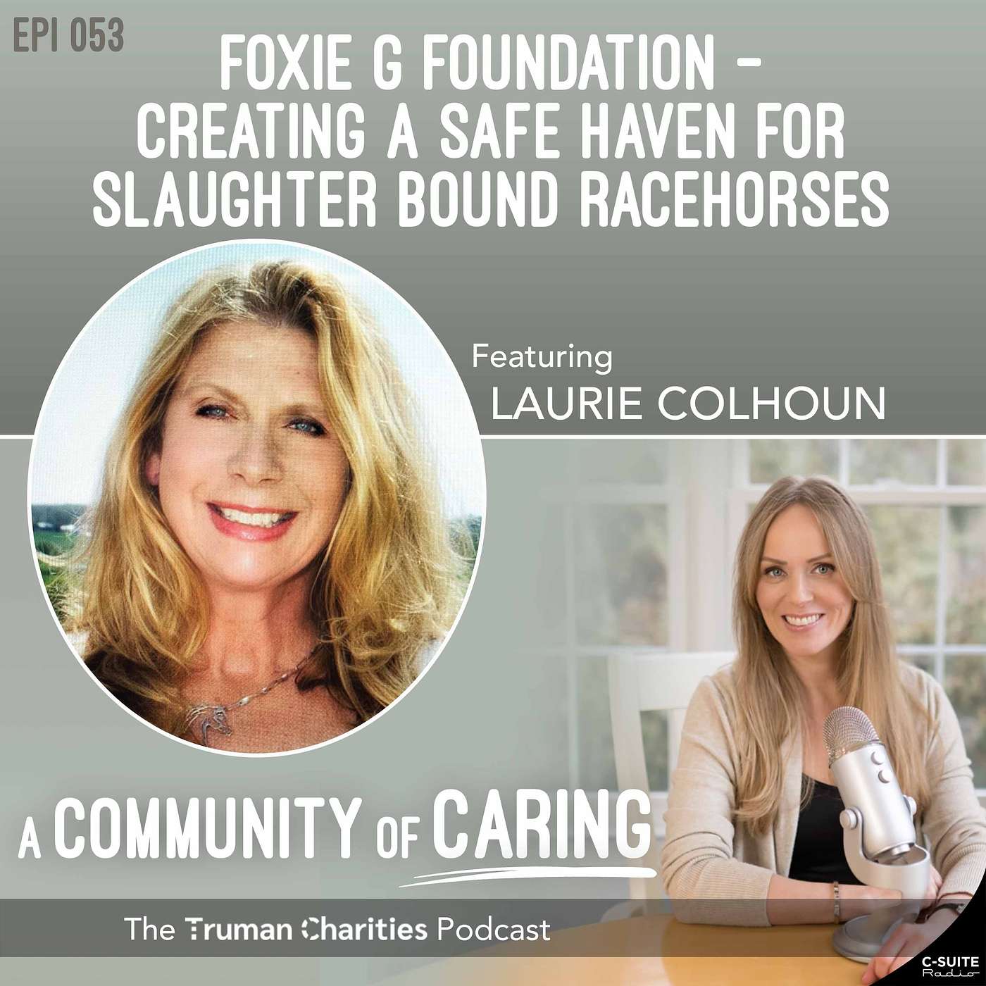 Ep 053: Foxie G Foundation - Creating a Safe Haven for Slaughter bound Racehorses episode artwork