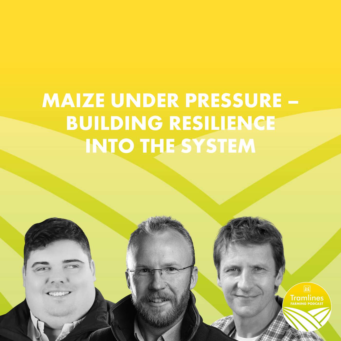 Maize Under Pressure – Building Resilience into the System