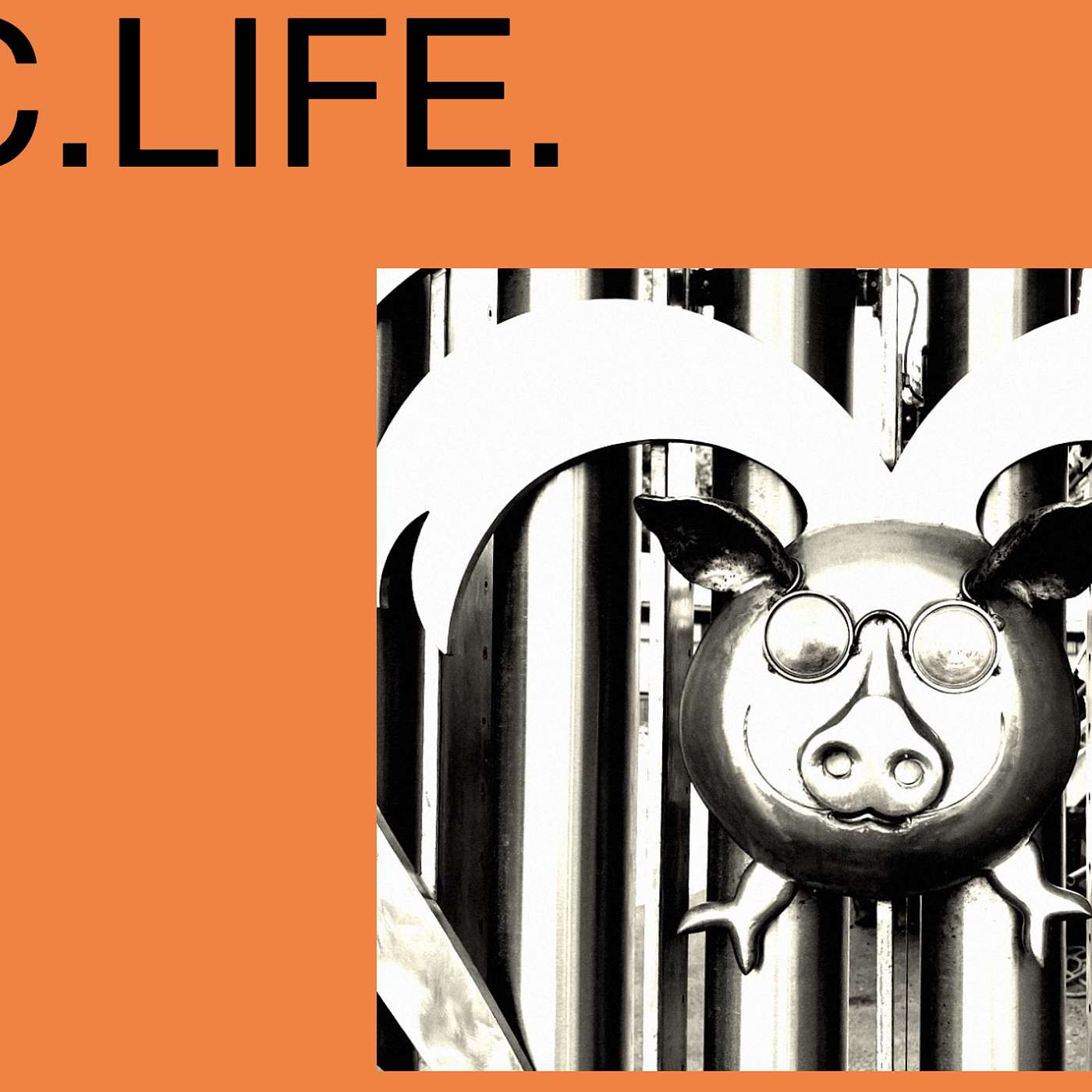 RIC.LIFE.