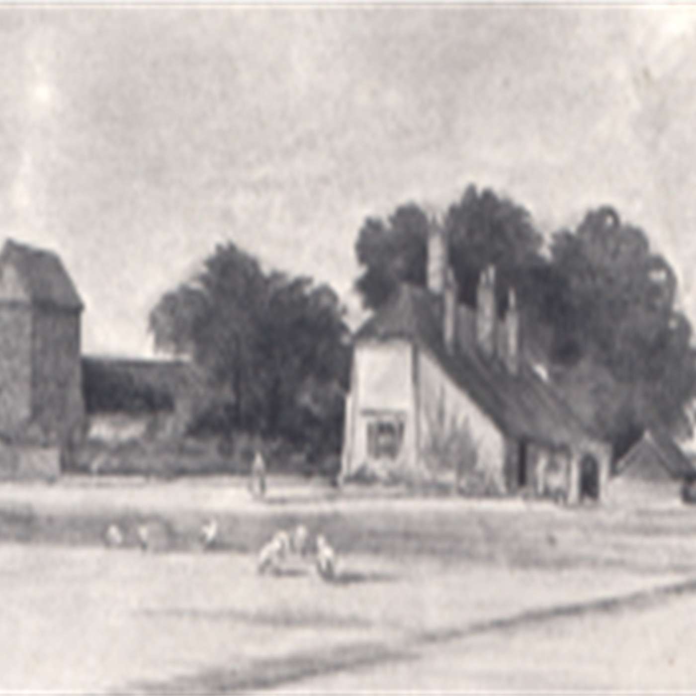 The Rise of the Protestants