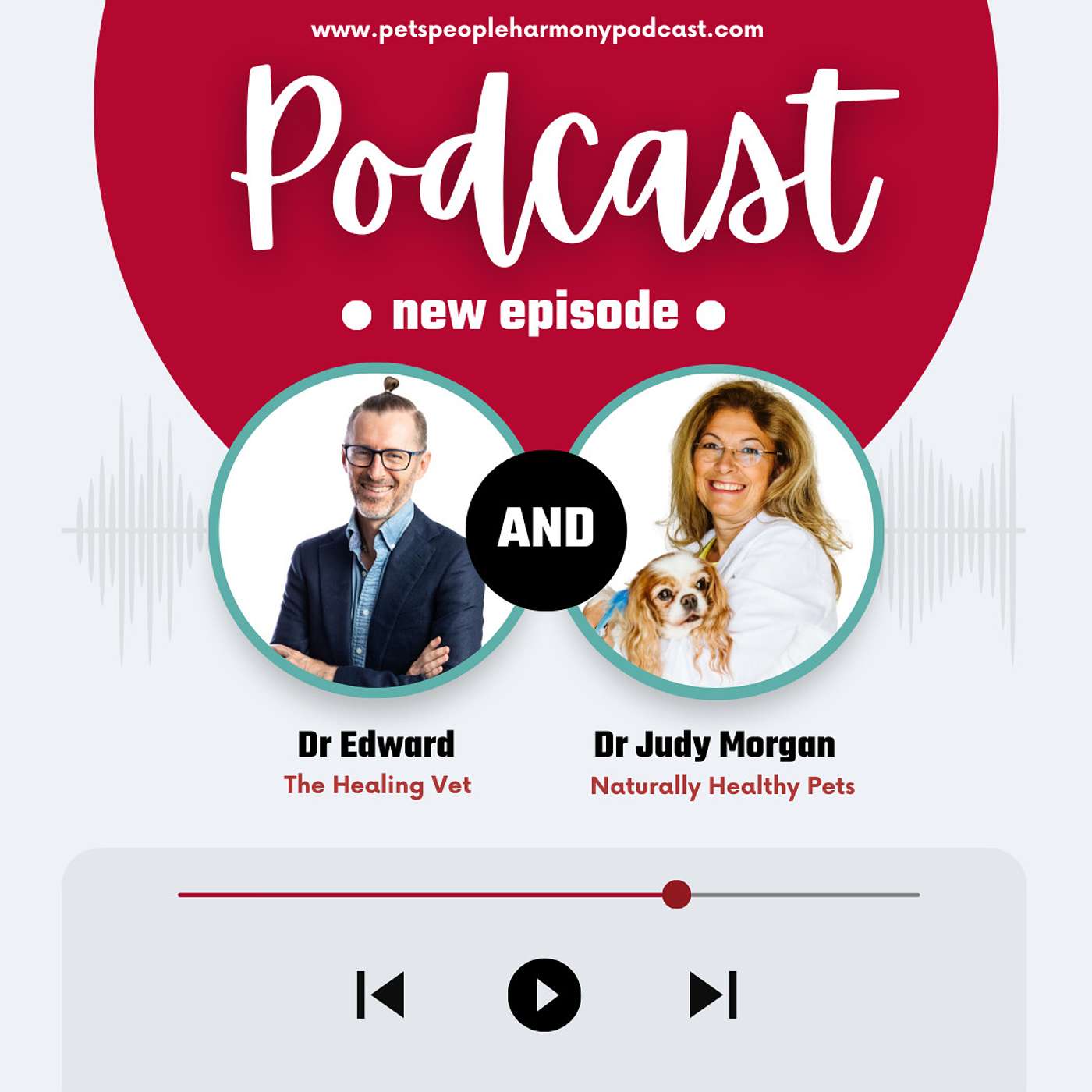 Whole Energy Body Balance Podcast with The Healing Vet