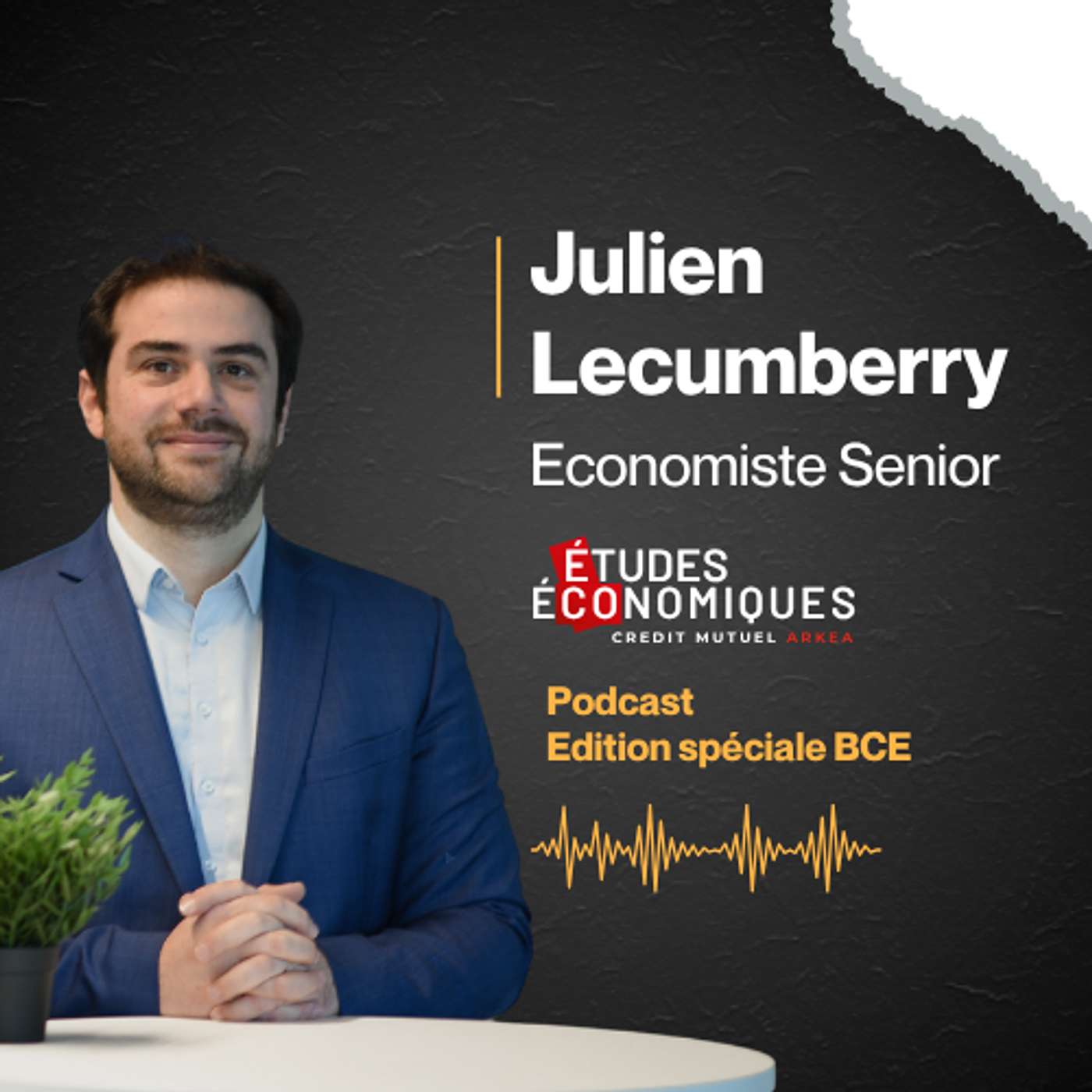 ⚪️ [Réunion BCE du 23 juillet 2026] Podcast édition spéciale episode artwork
