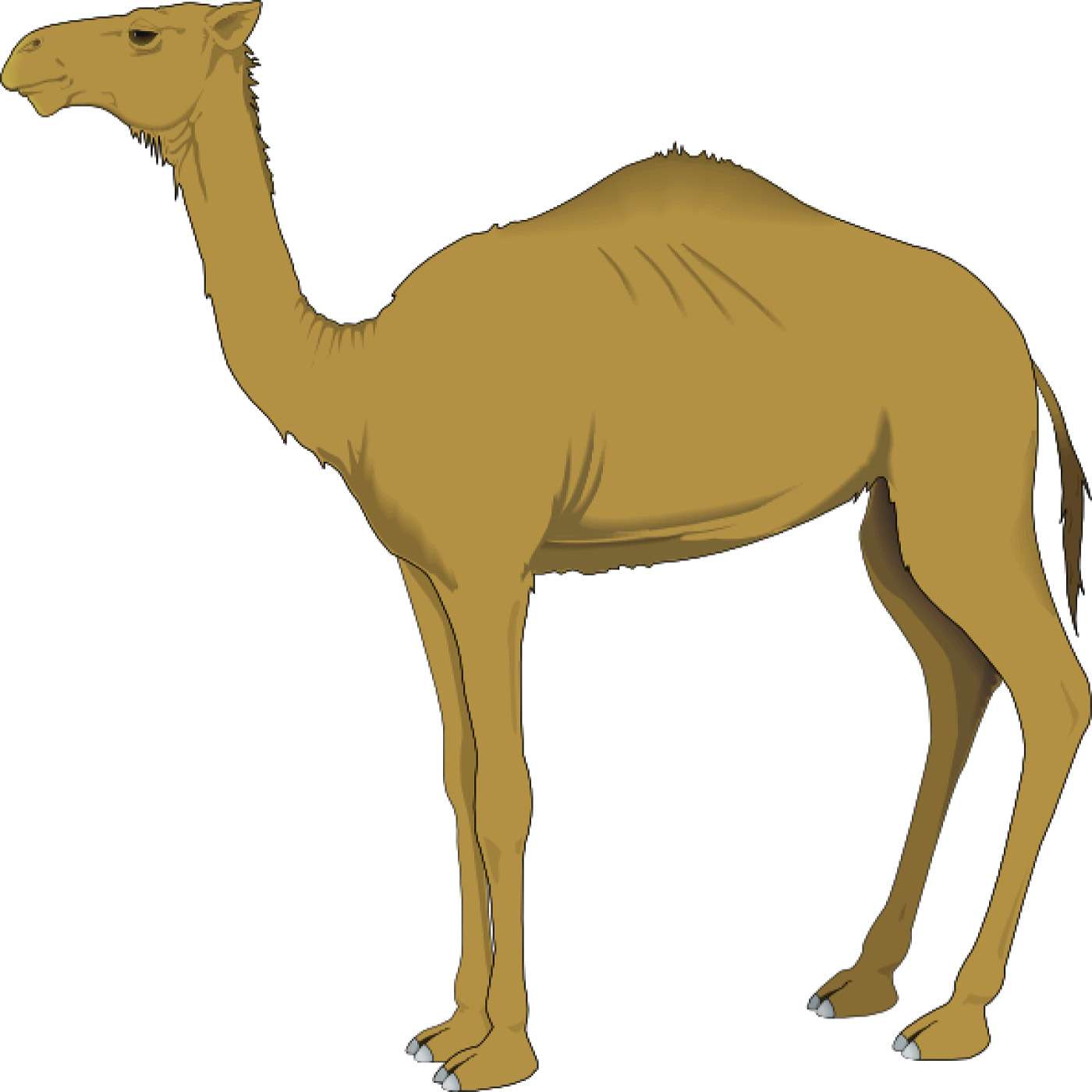 How the Camel got his Hump - A Just So Story - Rudyard Kipling