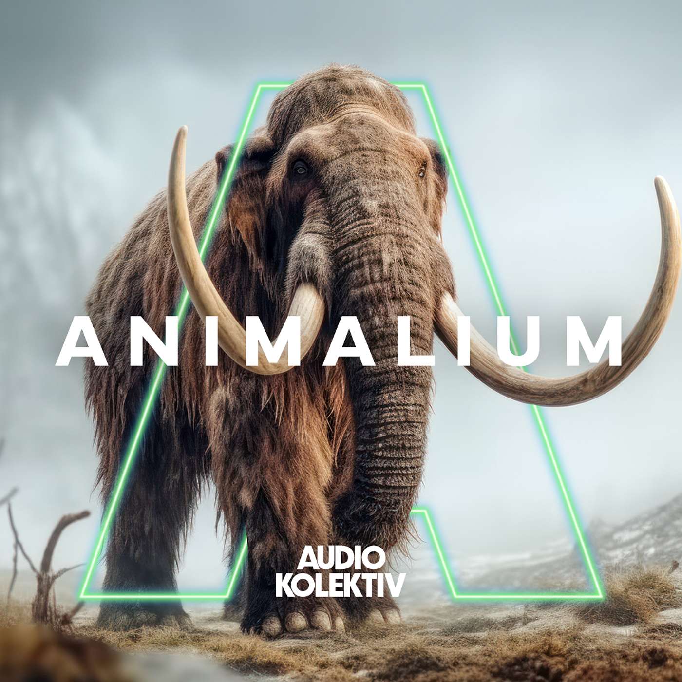 Animalium