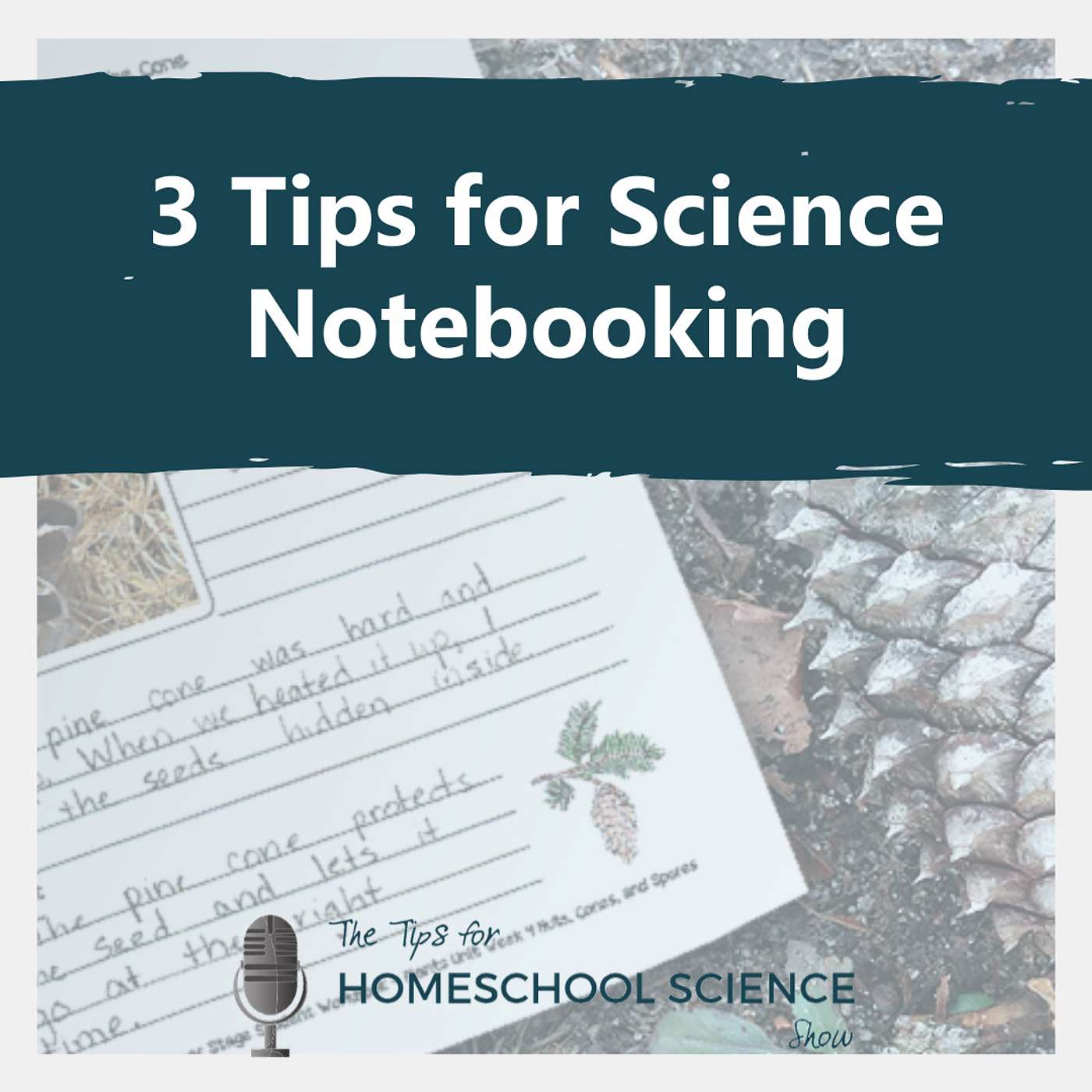 Tips for Homeschool Science Podcast from Elemental Science
