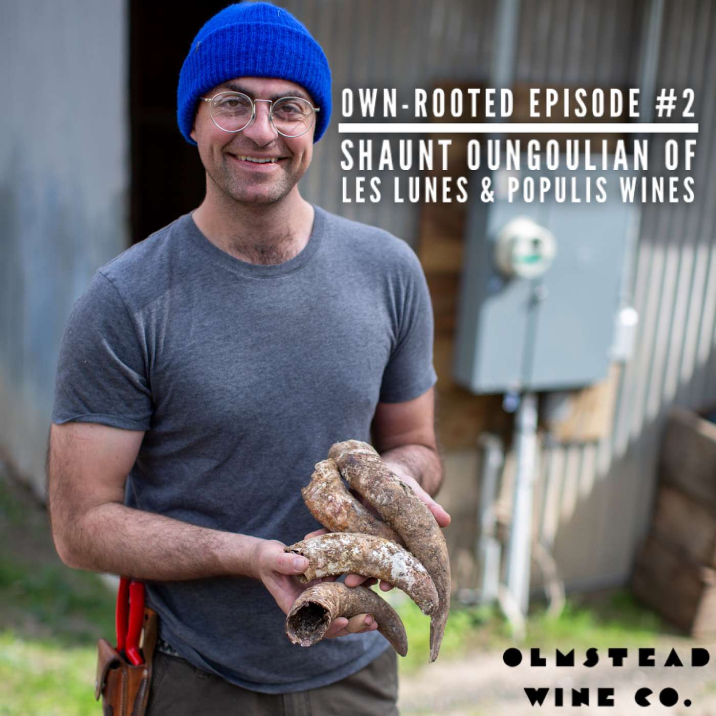 Shaunt Oungoulian of Les Lunes and Populis Wines Shaunt Oungoulian of Les Lunes and Populis Wines