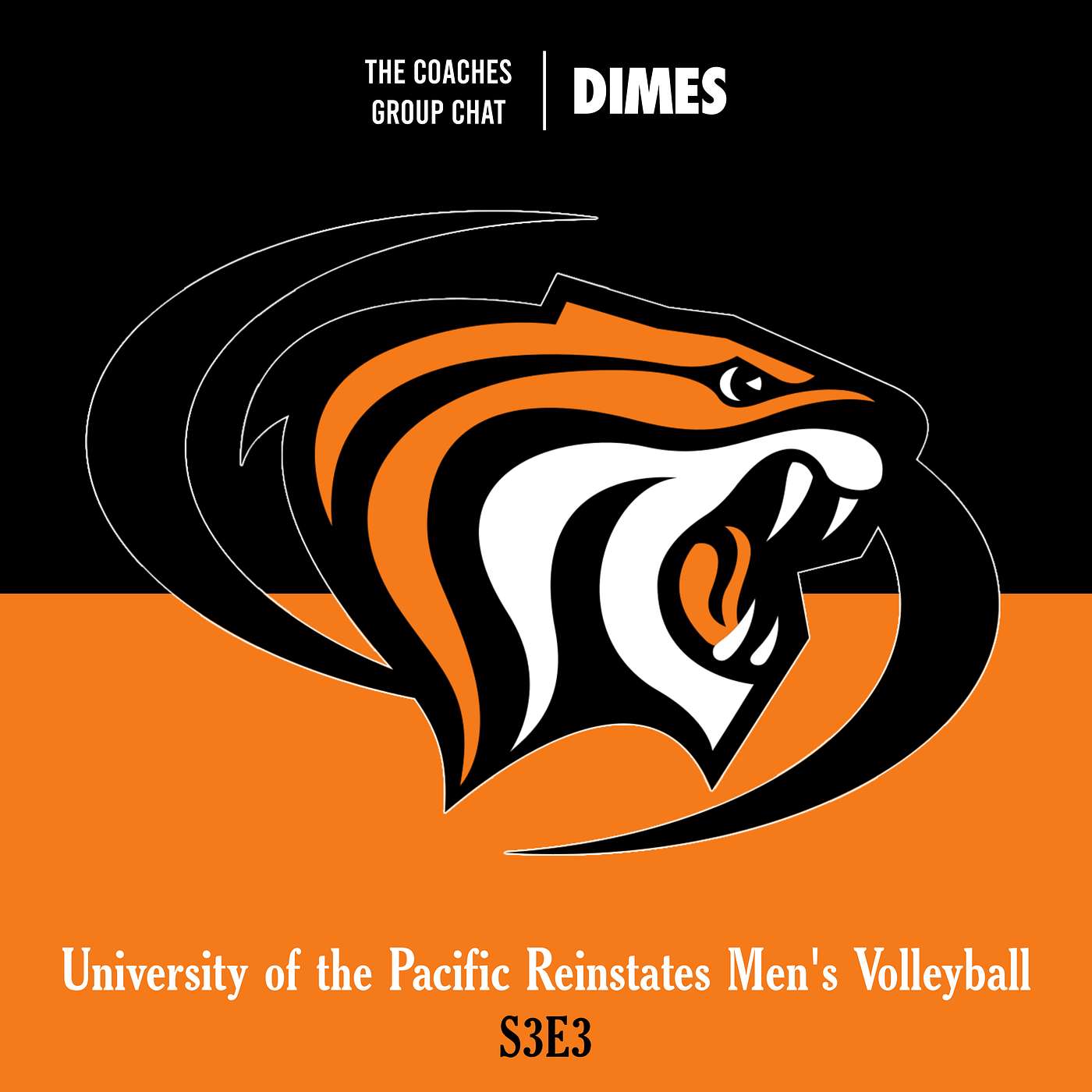 University of the Pacific Men’s Volleyball Returns University of the Pacific Men’s Volleyball Returns