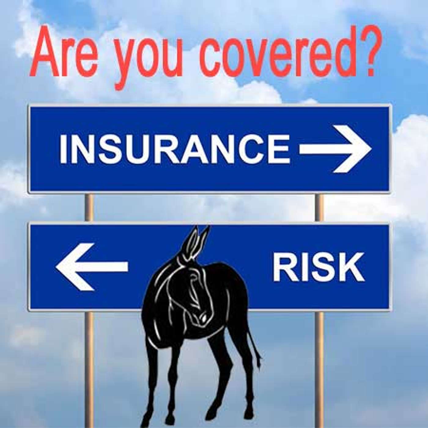 BOB THE INSURANCE GUY - IS YOUR MULE COVERED? LQ TRAILER? HAY SHED? BARN? episode artwork