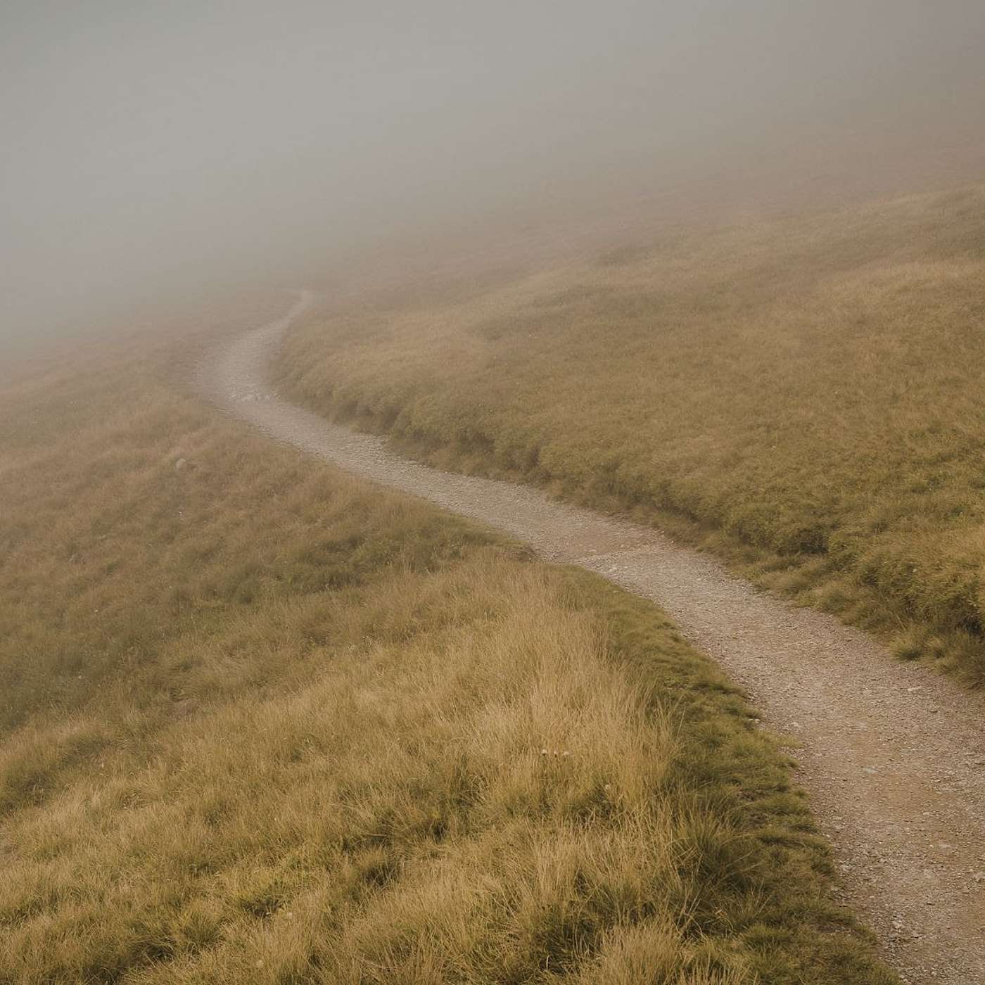 Change, But Healthier Change, But Healthier