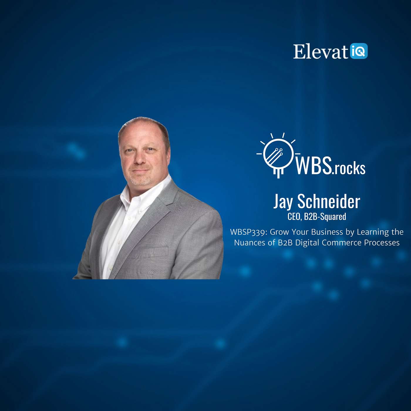 WBSP339: Grow Your Business by Learning the Nuances of B2B Digital Commerce Processes w/ Jay Schneider