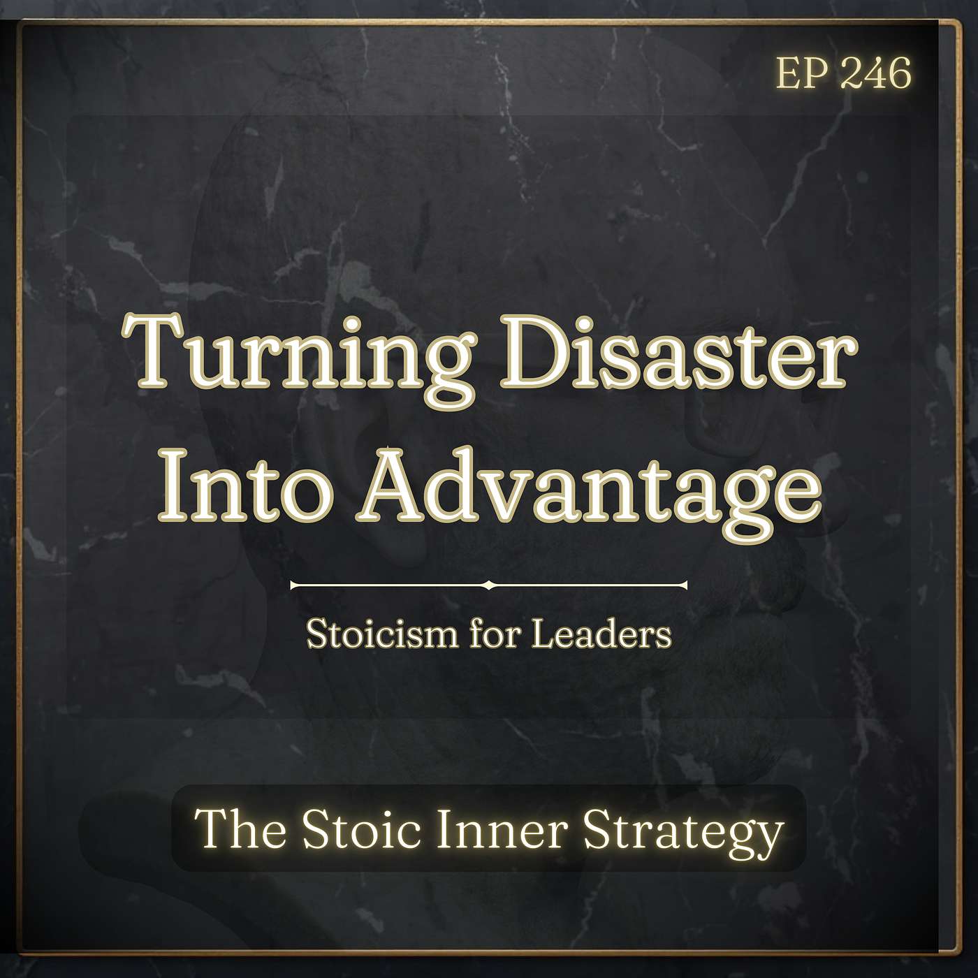 Ep 246 – Turning Disaster Into Advantage