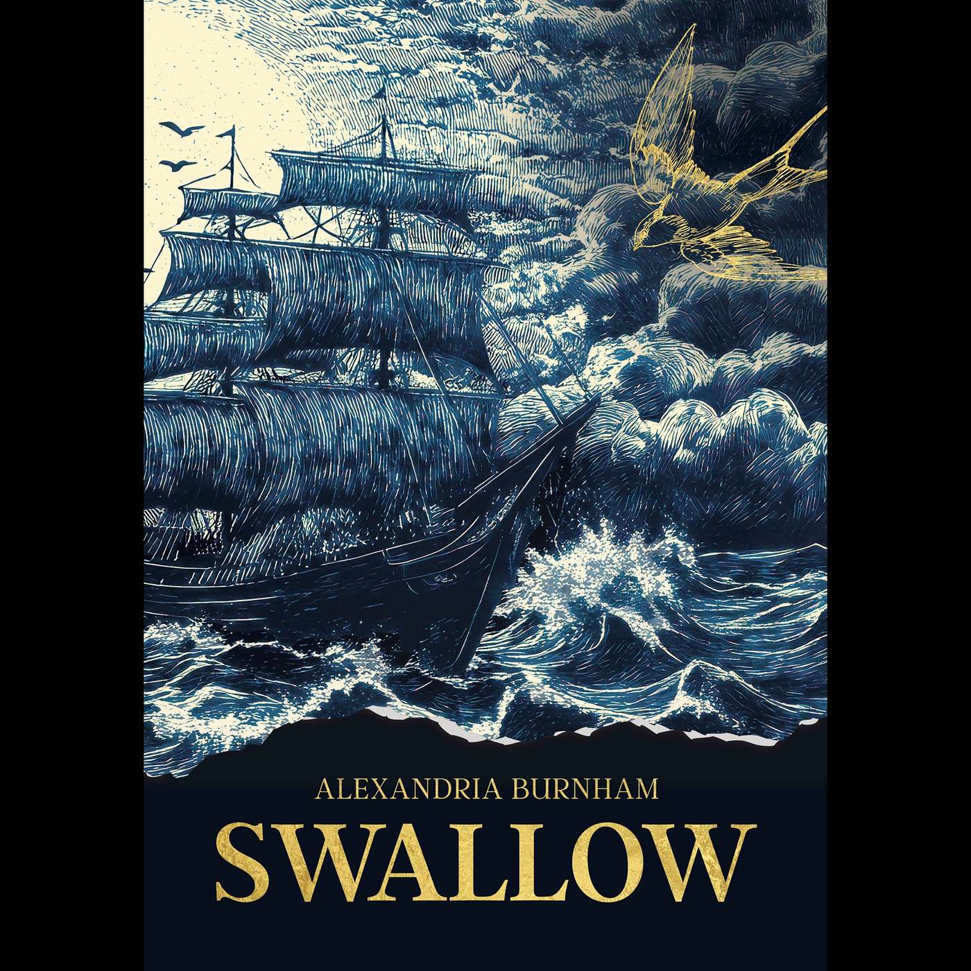 Traditionally Published: Previewing Ally's Debut Novel