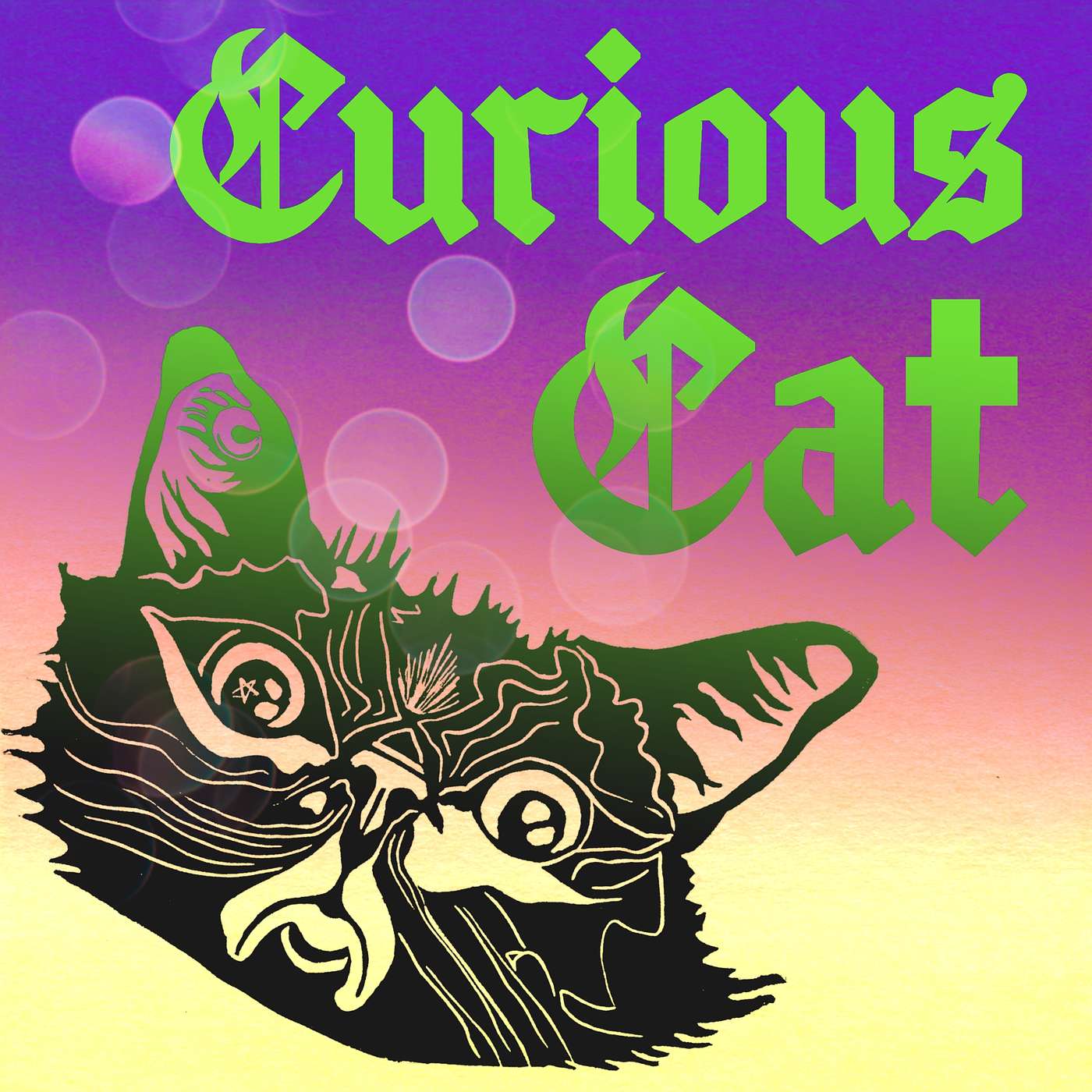 Curious Cat
